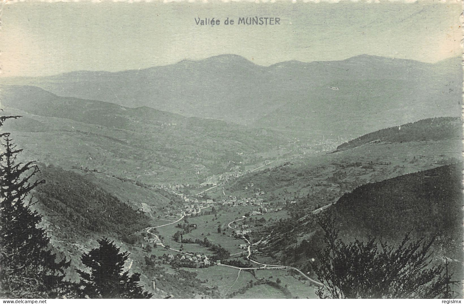 68-VALLEE DE MUNSTER-N°T2252-C/0157 - Colmar