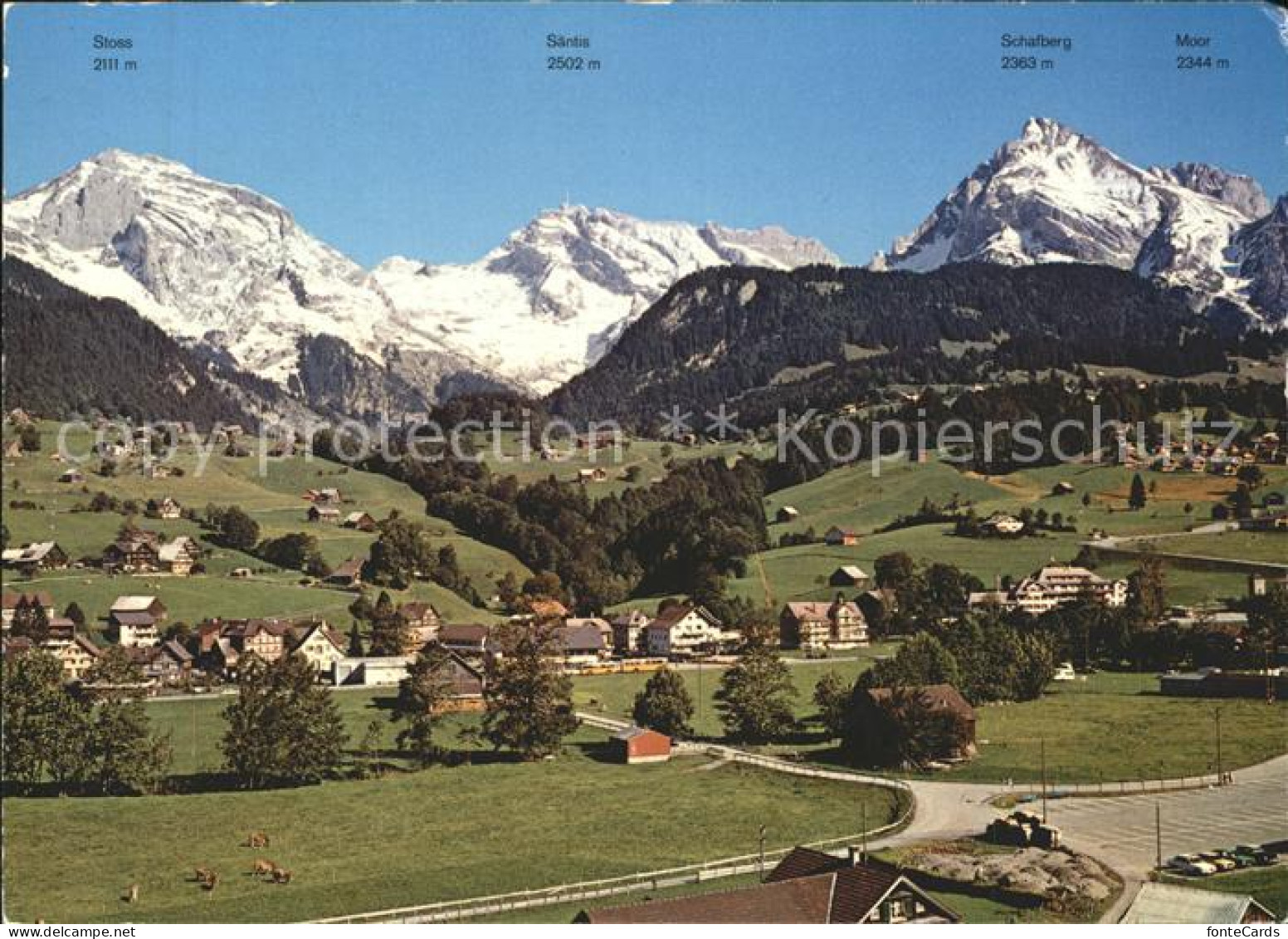 11879259 Unterwasser Toggenburg Stoss Saentis Schafberg Moor Unterwasser - Sonstige & Ohne Zuordnung