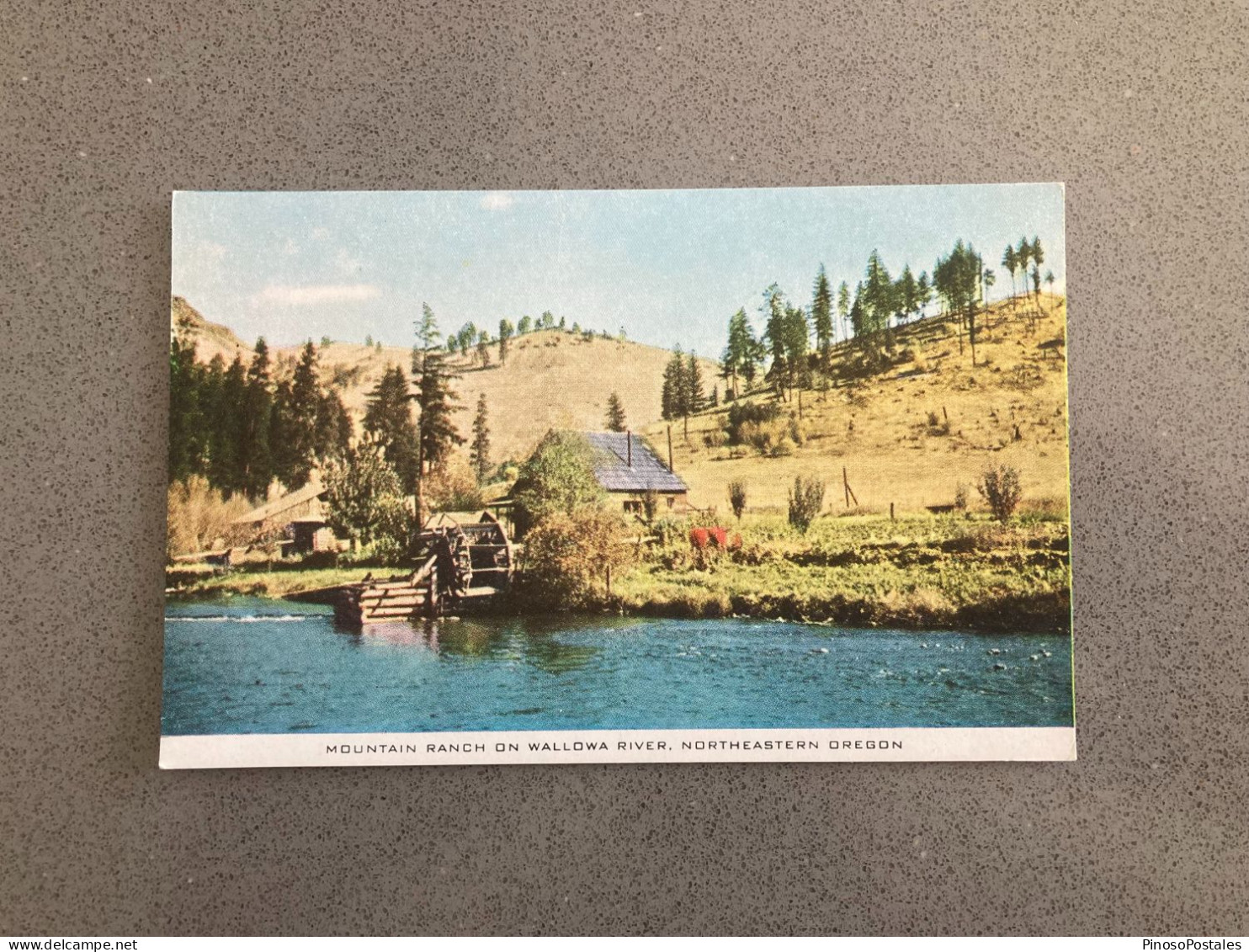 Mountain Ranch On Wallowa River, Northeastern Oregon Carte Postale Postcard - Altri & Non Classificati