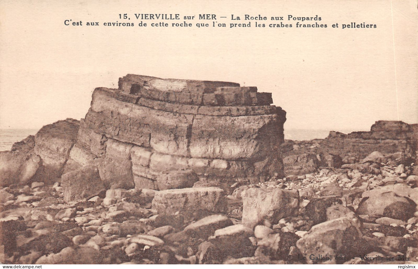 14-VIERVILLE SUR MER-LA ROCHE AUX POUPARDS-N°T2402-G/0359 - Autres & Non Classés