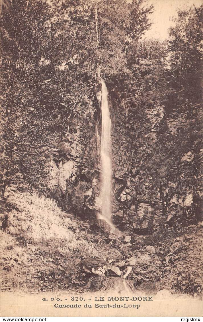 63-MONT DOE-CASCADE DU SAUT DU LOUP-N°T2405-F/0147 - Autres & Non Classés