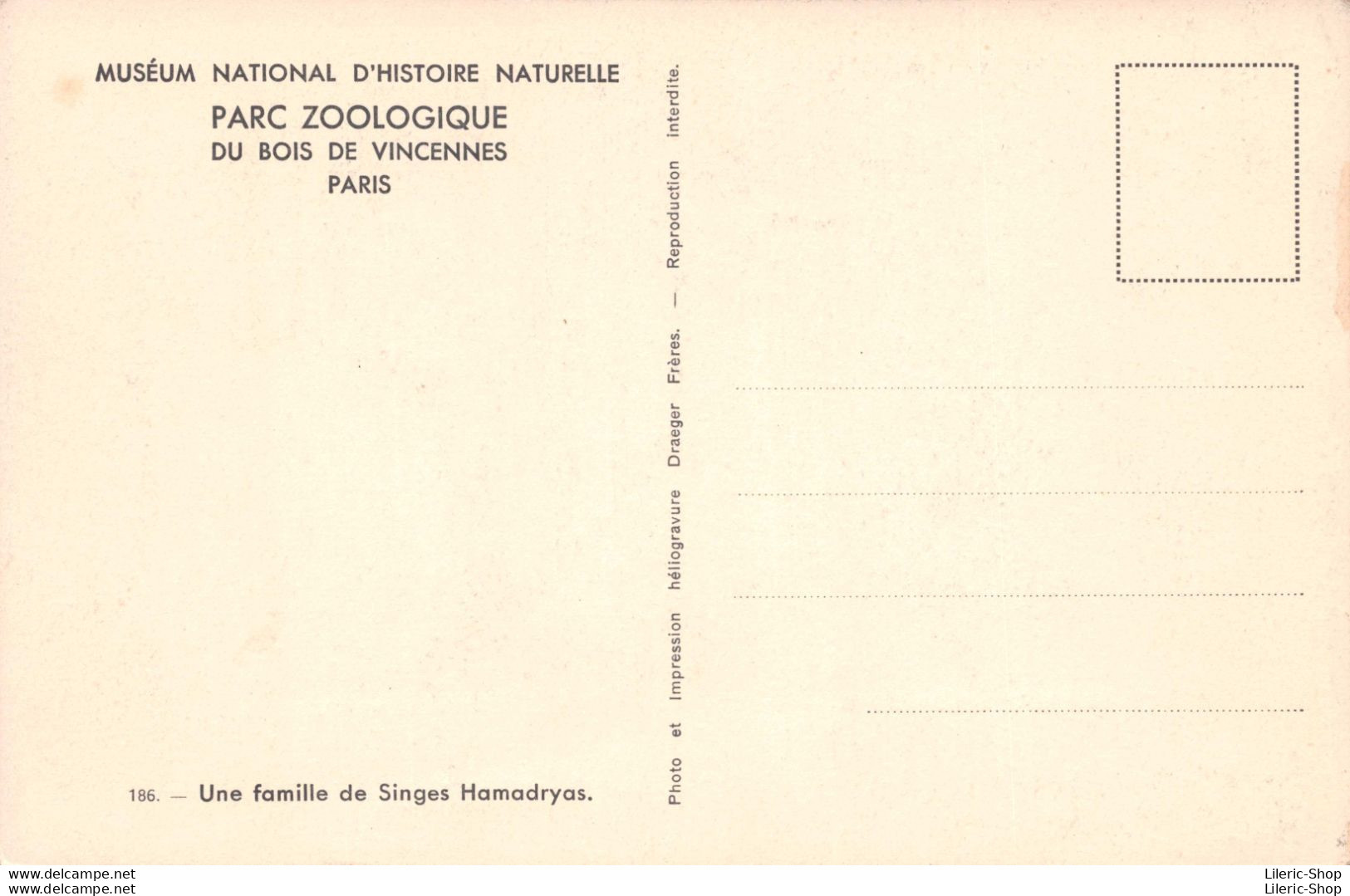 PARC ZOOLOGIQUE DU BOIS DE VINCENNES PARIS  - Une Famille De Singes Hamadryas. CPSM ±1950 ♦♦♦ - Monkeys