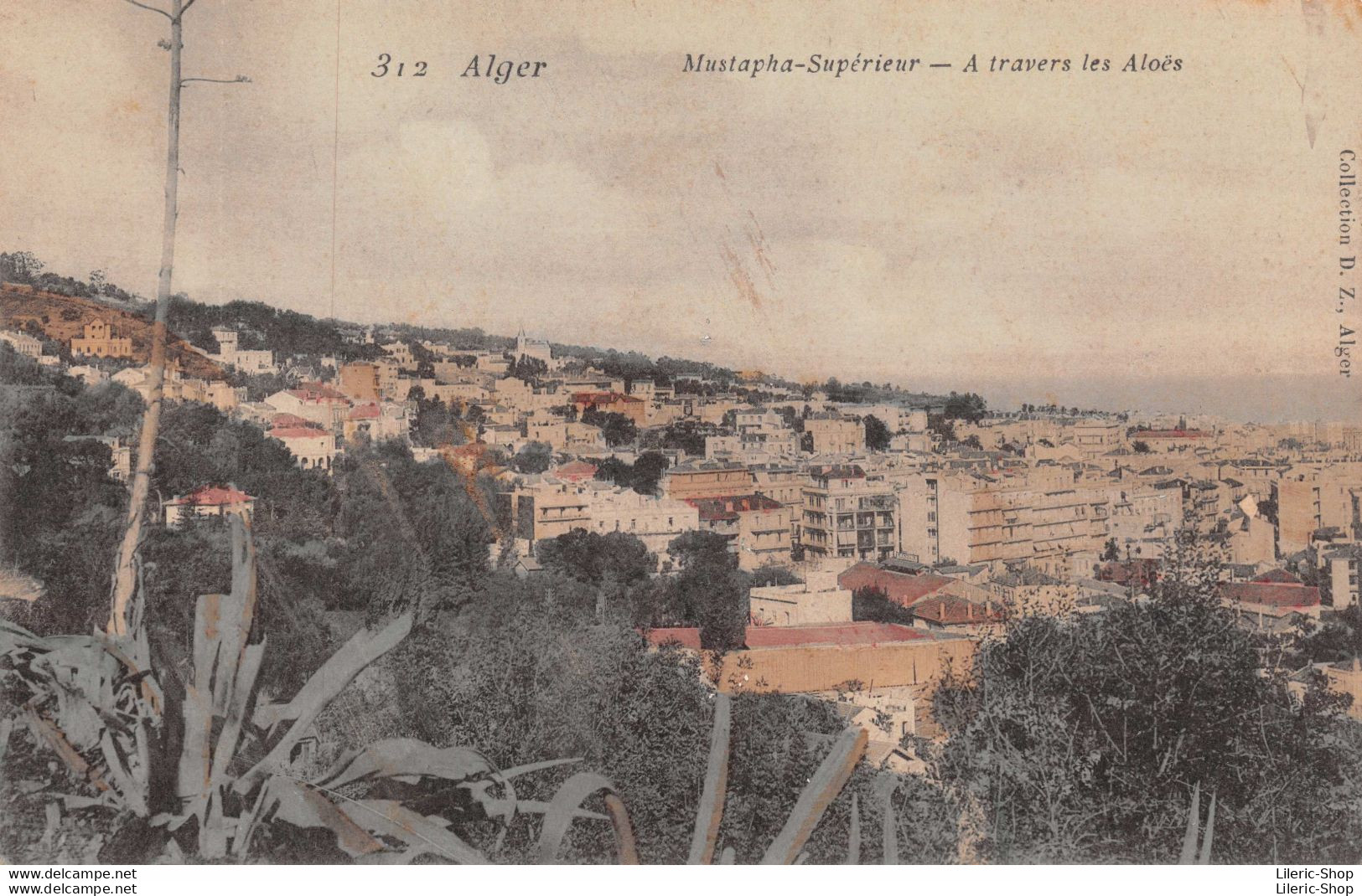 ALGER Supérieur - A Travers Les Aloës - N°312 Collection D.Z ± 1920 ♥♥♥ - Alger