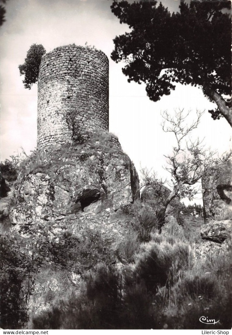 [43] AUREC-SUR-LOIRE - LES GORGES DE LA SEMÈNE - RUINES DE LA TOUR D'ORIOL-ÉDIT. COMBIER N°145 CPSM±1960 - Other & Unclassified