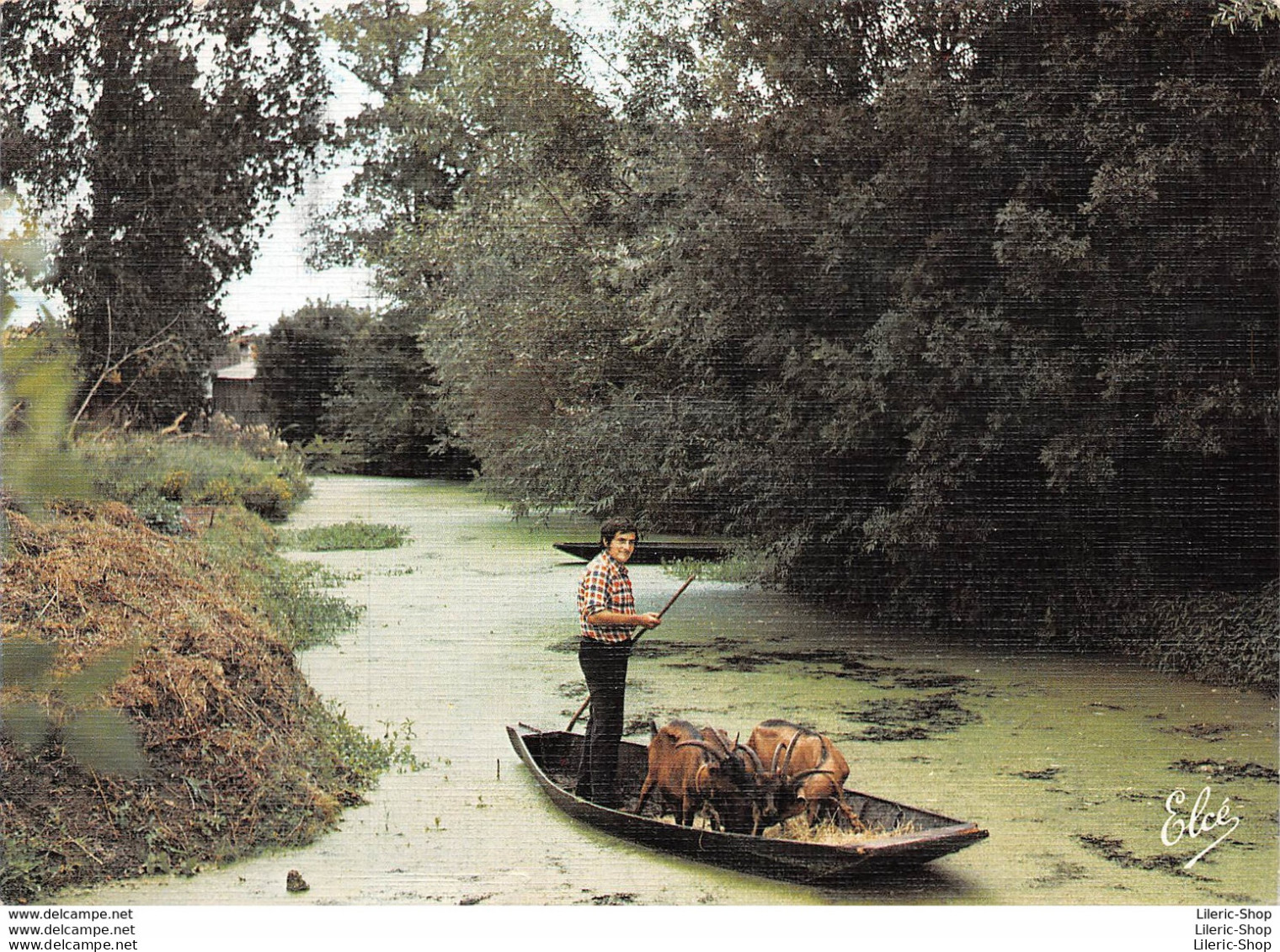 [79] MARAIS POITEVIN -TRANSPORT DE CHÈVRES►CACHET SAUZE VAUSSAIS►ÉDIT. ELCÉ - CPM GF 1983 ♦♦♦ - Autres & Non Classés