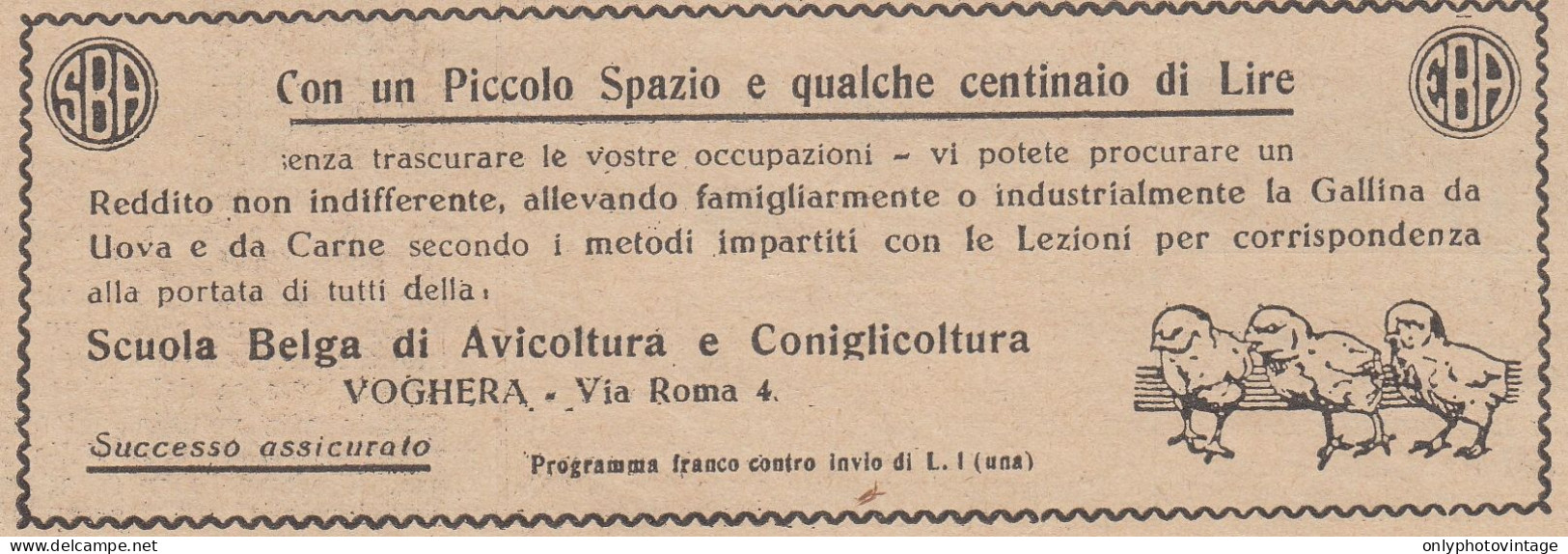 Scuola Belga Di Avicoltura - Voghera - 1932 Pubblicità Epoca - Vintage Ad - Reclame