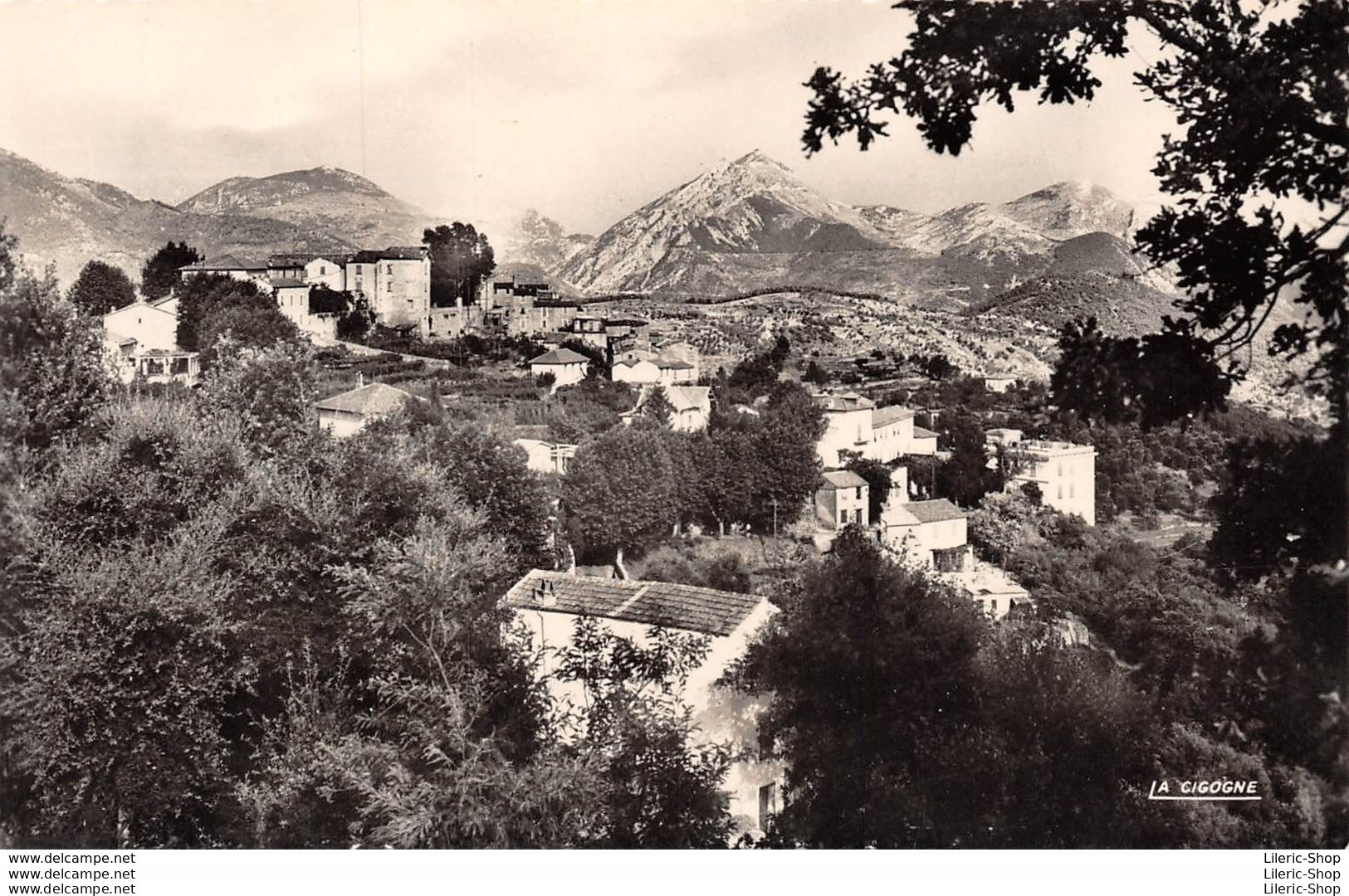 [06] BERRE-LES-ALPES VUE GÉNÉRALE ÉDITIONS LA CIGOGNE Cpsm PF Dentelée ± 1960 ♥♥♥ - Other & Unclassified