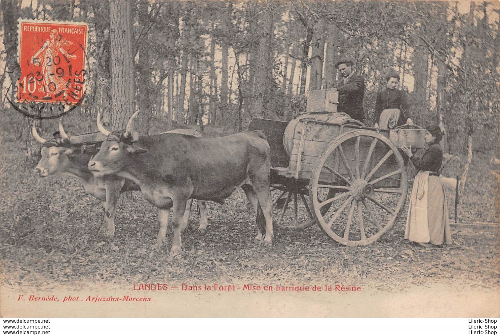 [40] ATTELAGE DE BOEUFS►DANS LA FORÊT -MISE EN BARRIQUE DE LA RÉSINE -E. BERNÈDE, PHOT. CPA 1910 ♦♦♦ - Sonstige & Ohne Zuordnung