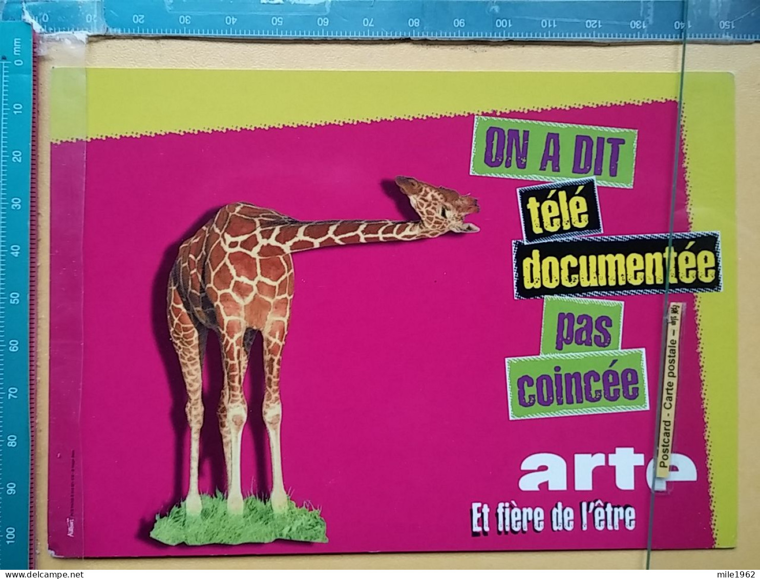 KOV 506-49 - GIRAFFE, ARTE SERVICE - Jirafas