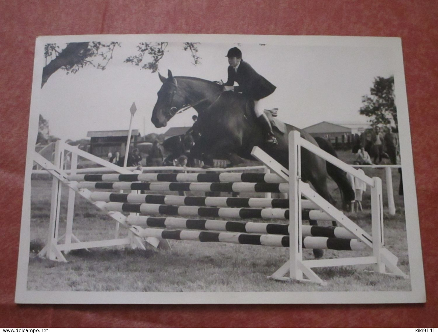 Concours Hippique De St-Aubin - Saut D'obstacle - Equitation