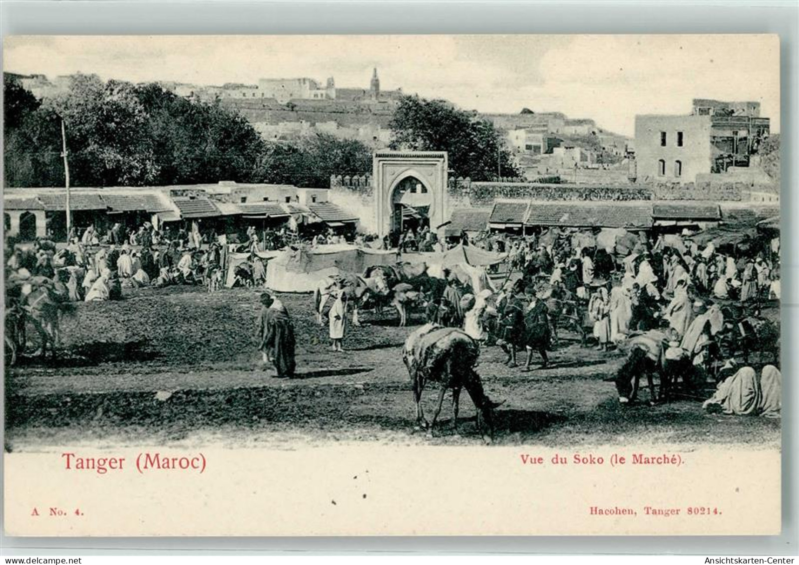 52225211 - Tanger Tangiers - Otros & Sin Clasificación