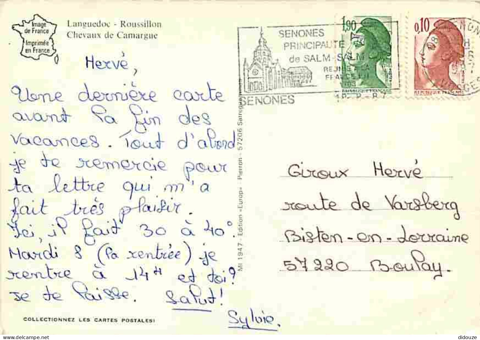 Animaux - Chevaux - Camargue - Chevaux Camarguais - Flamme Postale - Voir Scans Recto Verso  - Chevaux