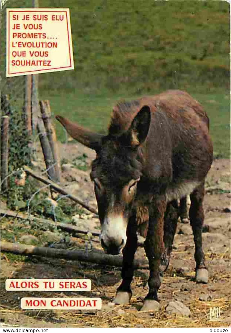 Animaux - Anes - Carte Humoristique - CPM - Voir Scans Recto-Verso - Donkeys