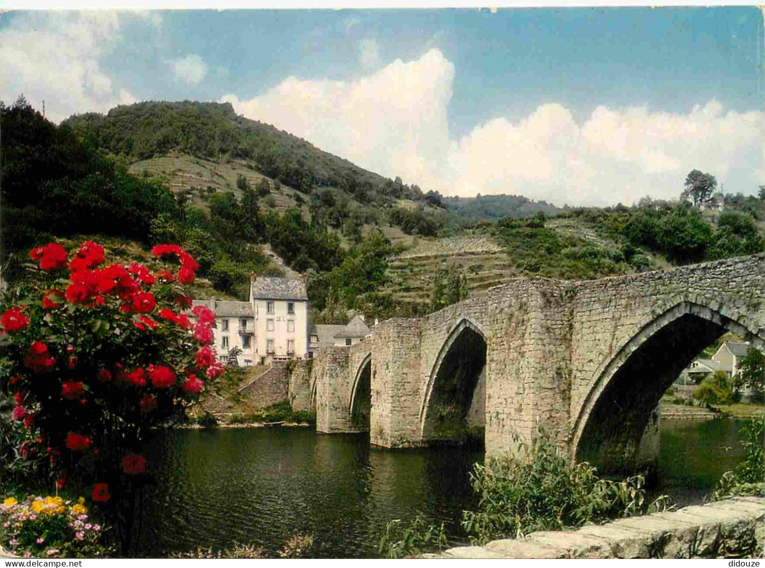 12 - Entraygues Sur Truyère - Pont Gothique Sur La Truyère - CPM - Voir Scans Recto-Verso - Sonstige & Ohne Zuordnung