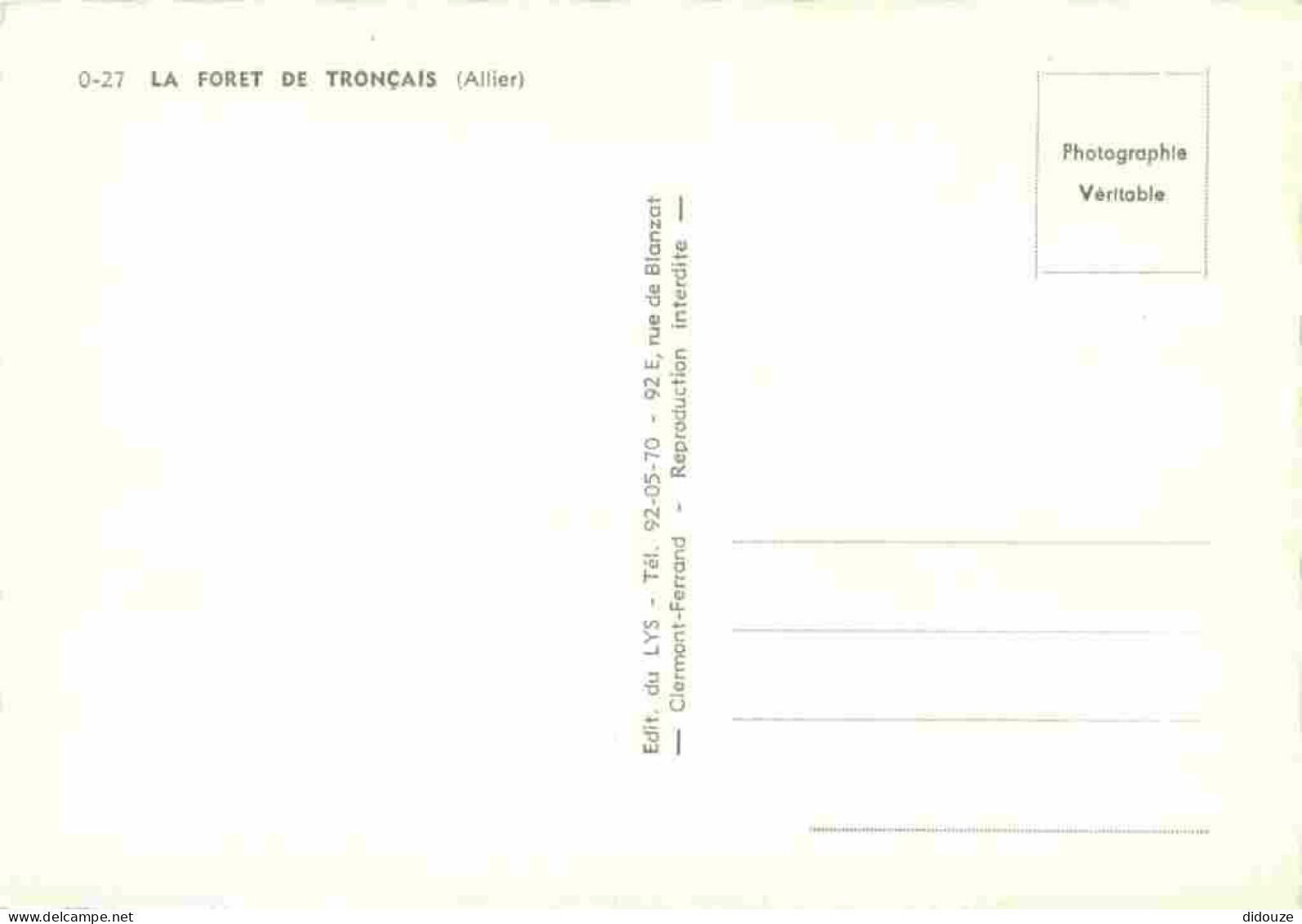 03 - Foret De Tronçais - Multivues - Mention Photographie Véritable - Carte Dentelée - CPSM Grand Format - Carte Neuve - - Other & Unclassified