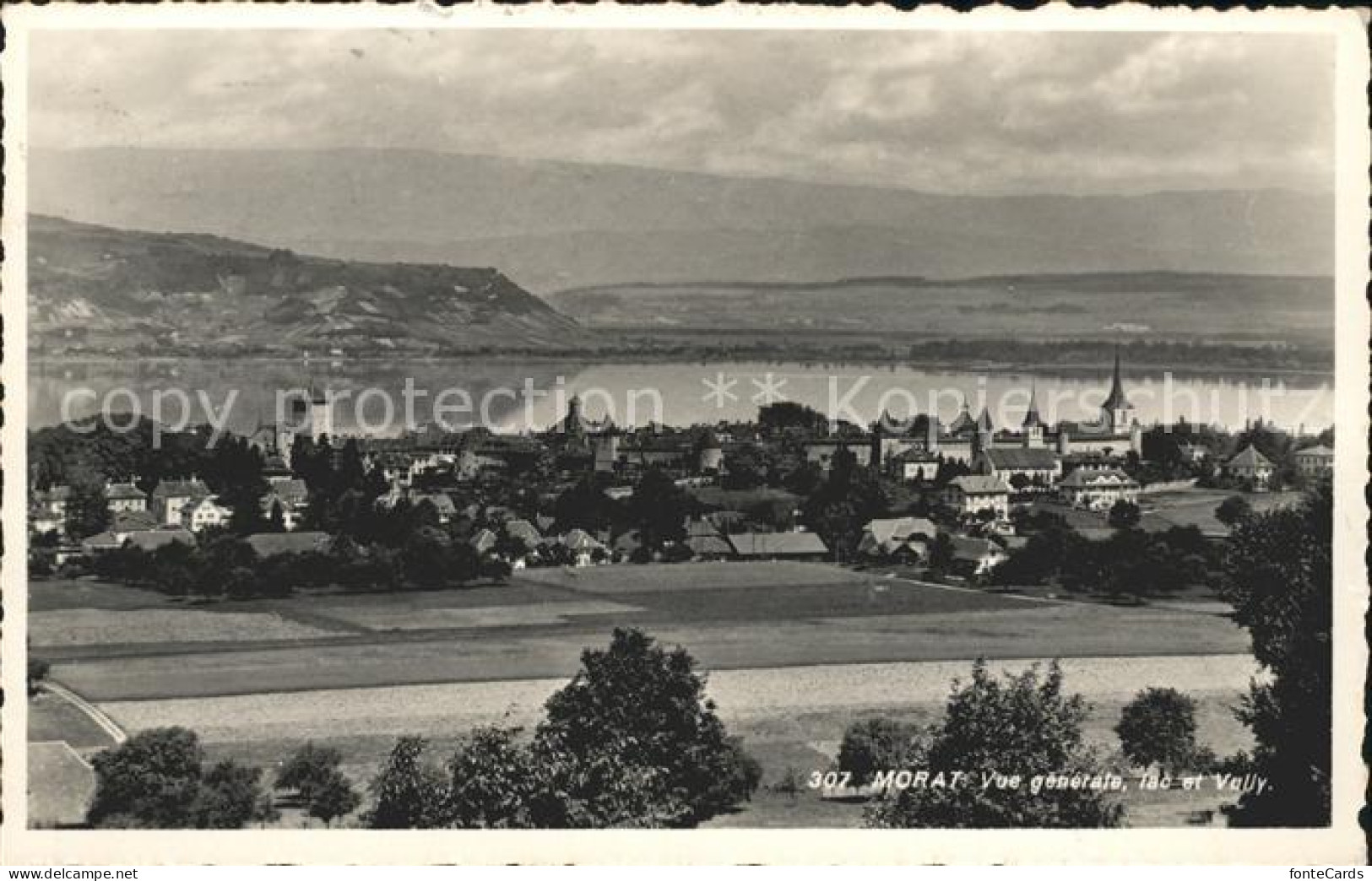 11757136 Morat Murten Vue Generale Lac Et Vully Murten - Sonstige & Ohne Zuordnung