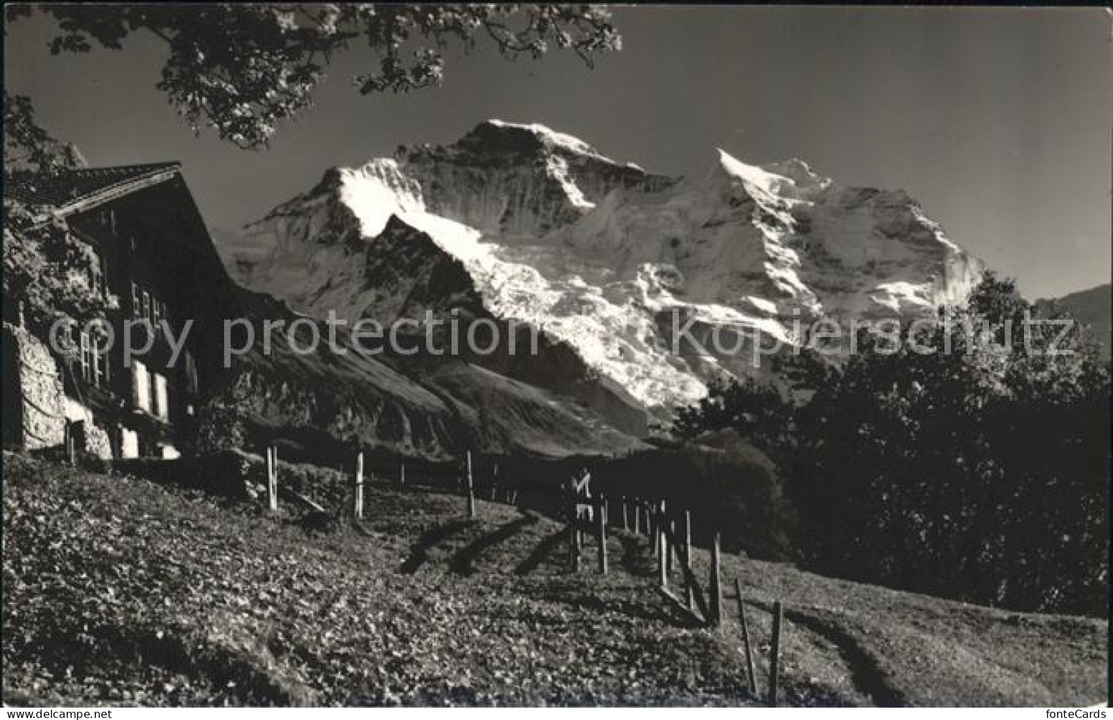 11747676 Wengen BE Jungfrau Wengen - Sonstige & Ohne Zuordnung