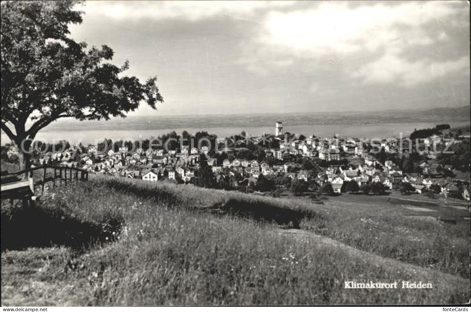 11742357 Heiden AR Panorama Heiden - Andere & Zonder Classificatie