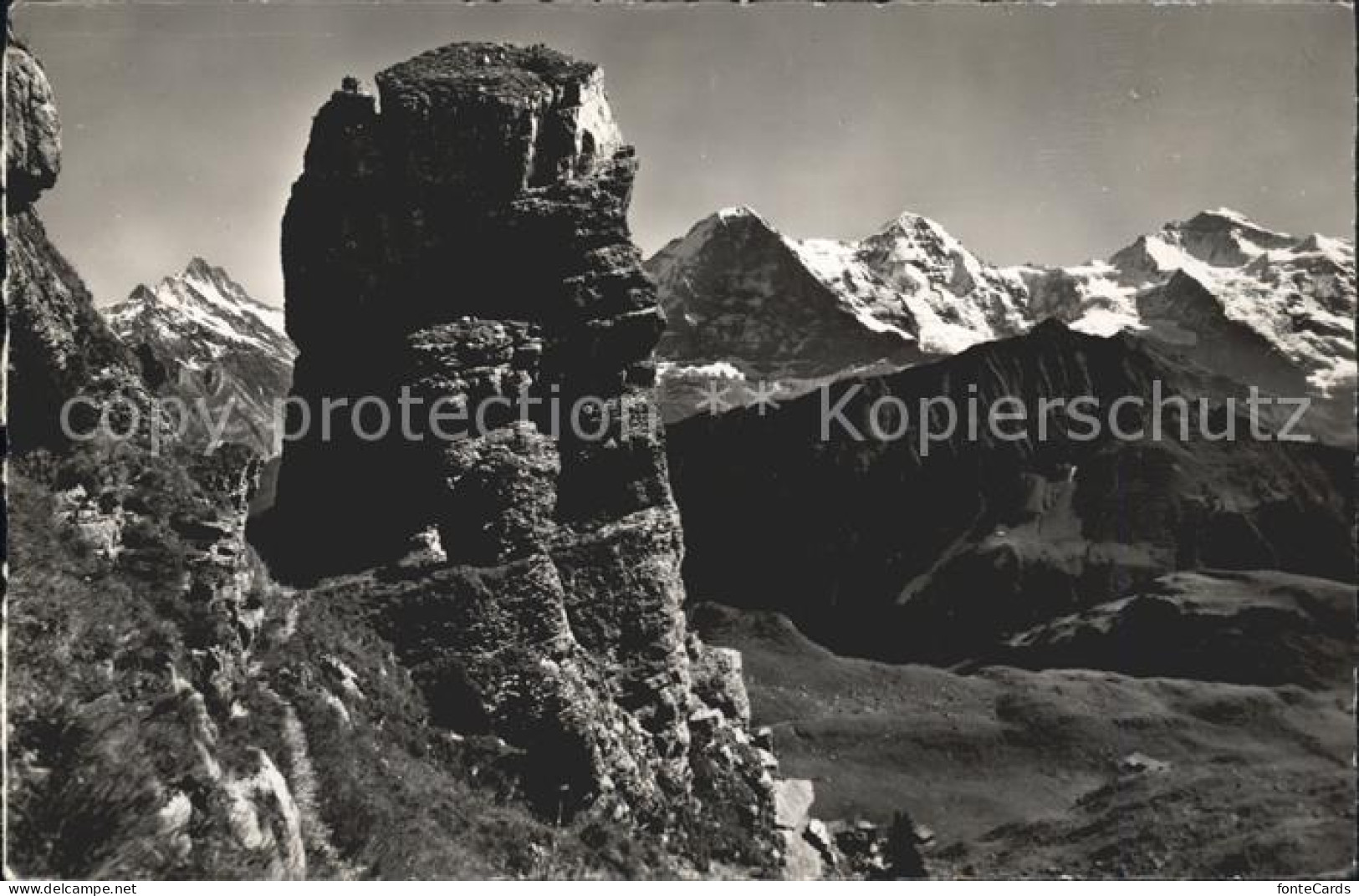 11737336 Schynige Platte Oberberghorn Schreckhorn Eiger Moench Jungfrau Schynige - Other & Unclassified