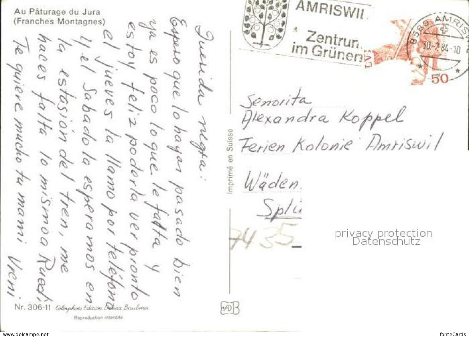 11737286 Amriswil TG Pferdegespann Amriswil - Other & Unclassified