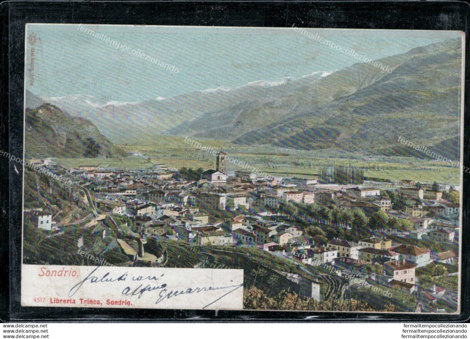 Ar397 Cartolina Sondrio Inizio 900 Scollata - Sondrio