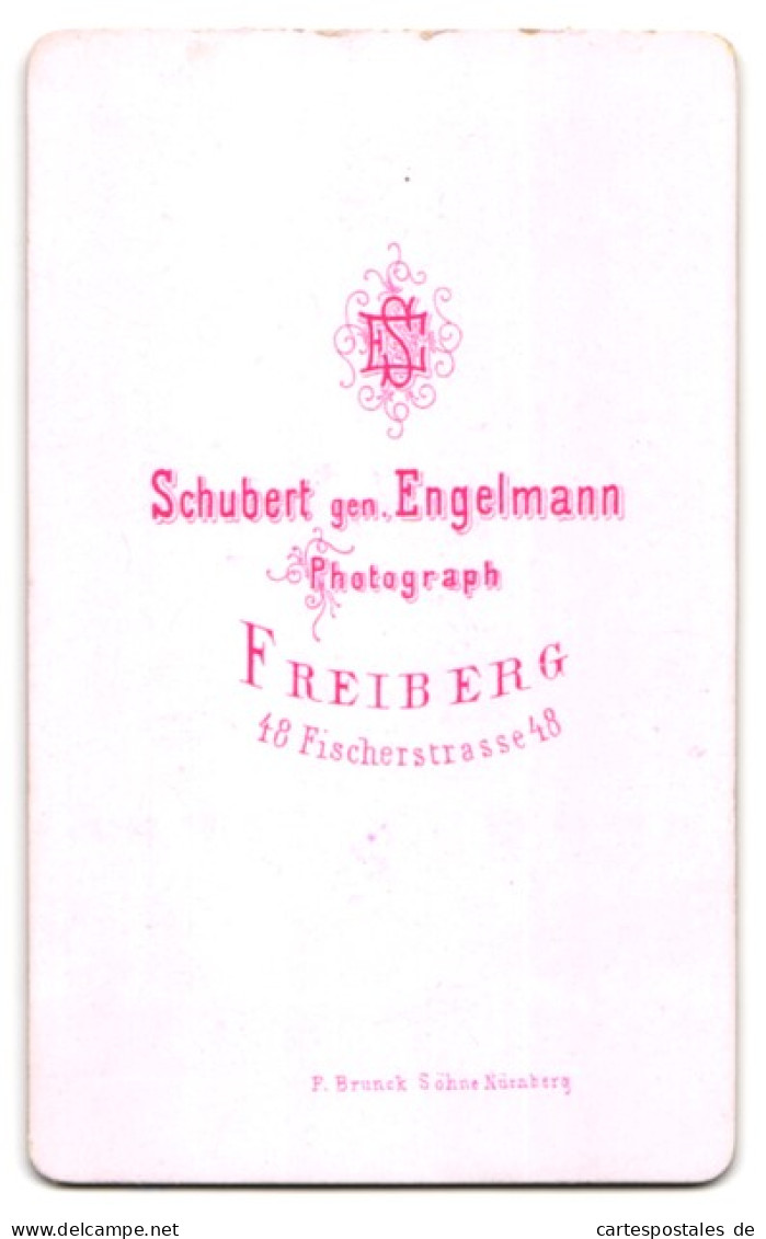 Fotografie Schubert Gen. Engelmann, Freiberg, Fischerstrasse 48, Molliger Fratz In Kartiertem Kleid  - Personnes Anonymes