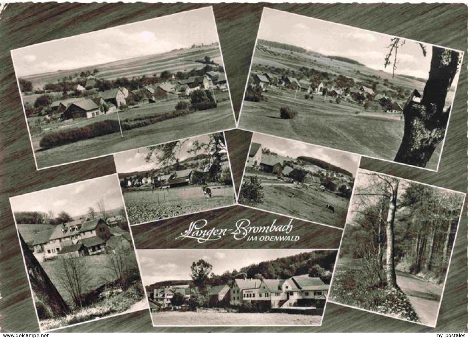 73976531 Langen_Brombach_Odenwald_Hessen Panorama Waldpartie - Andere & Zonder Classificatie