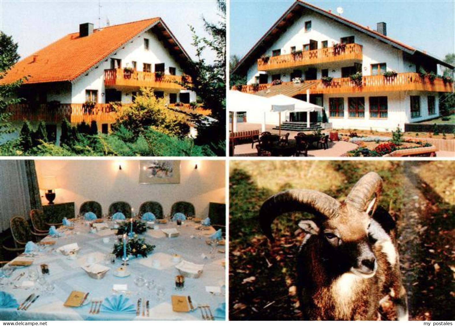 73946662 Meisdorf_Falkenstein_Harz Hotel Forsthaus Restaurant Mufflonwild - Other & Unclassified