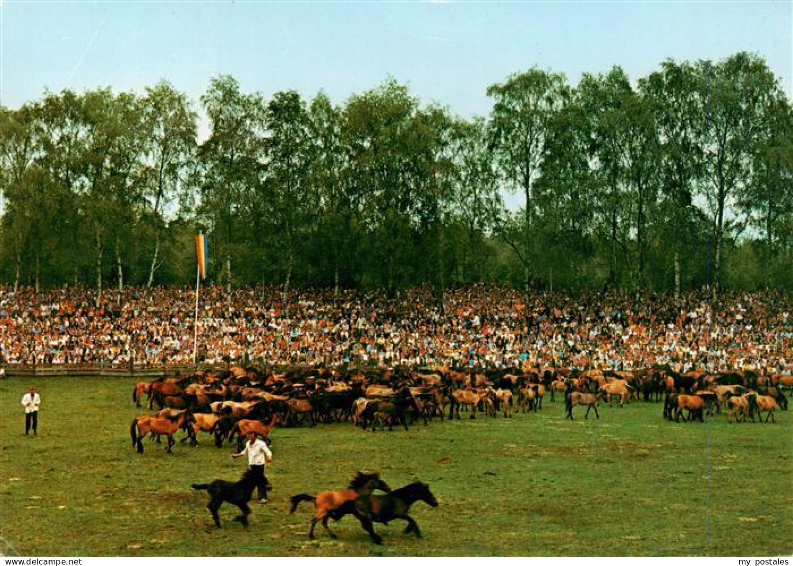 73905153 Duelmen Wildpferdefang Im Merfelder Bruch - Duelmen