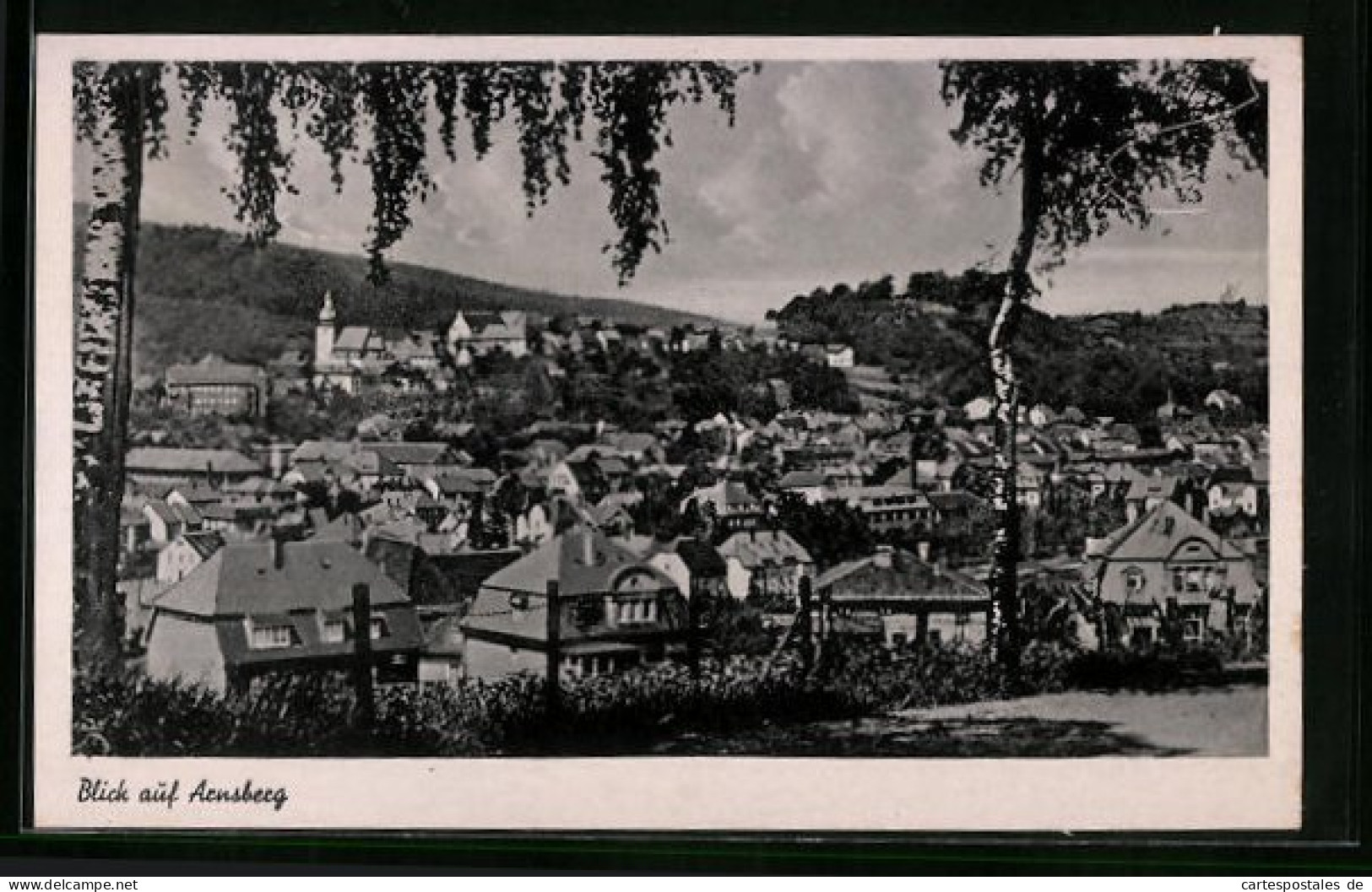 AK Arnsberg, Blick Auf Den Ort Mit Bäumen  - Arnsberg