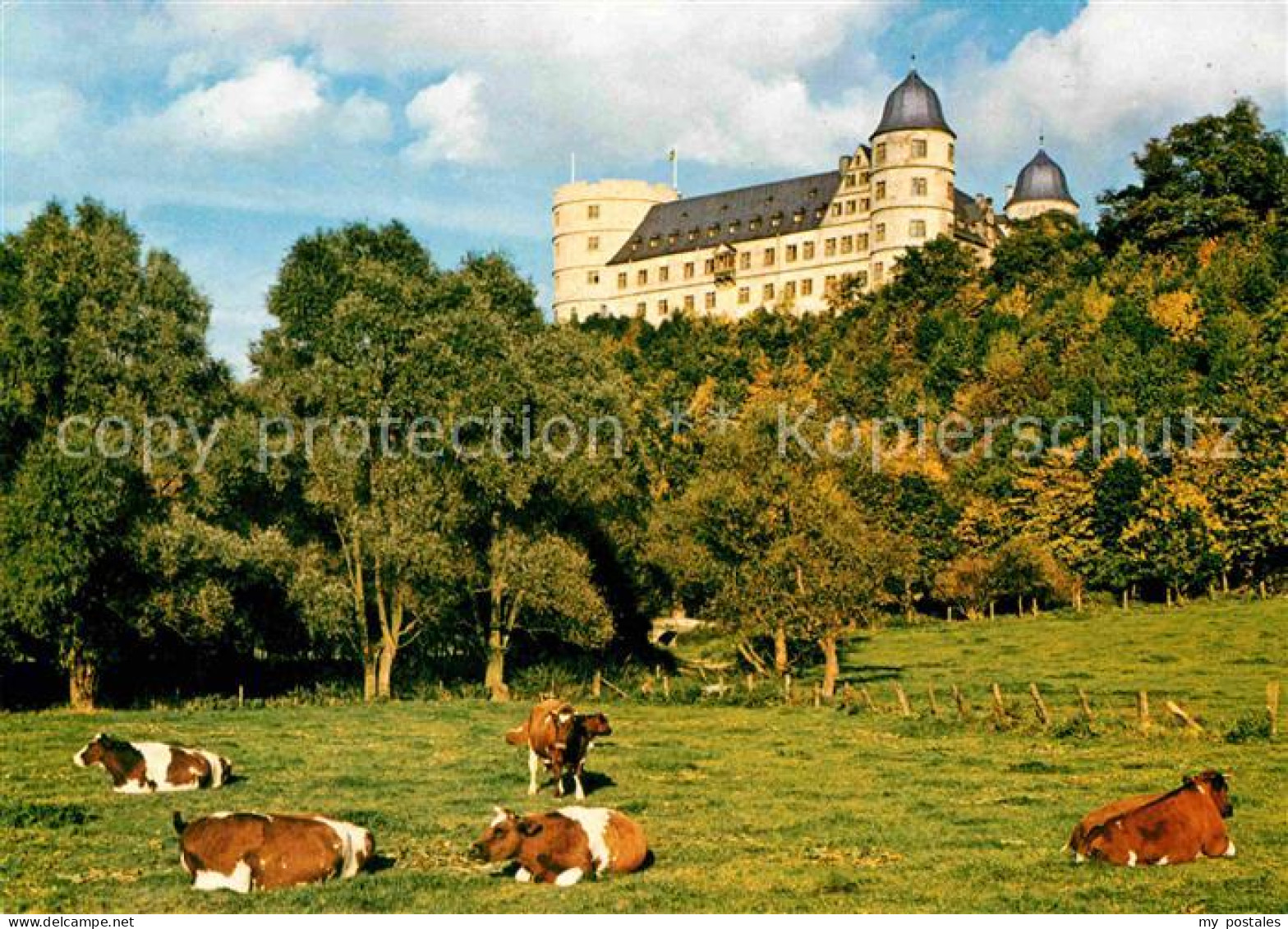 72663721 Weselsburg Bueren Bergschloss Viehweide Kuehe Weselsburg Bueren - Sonstige & Ohne Zuordnung