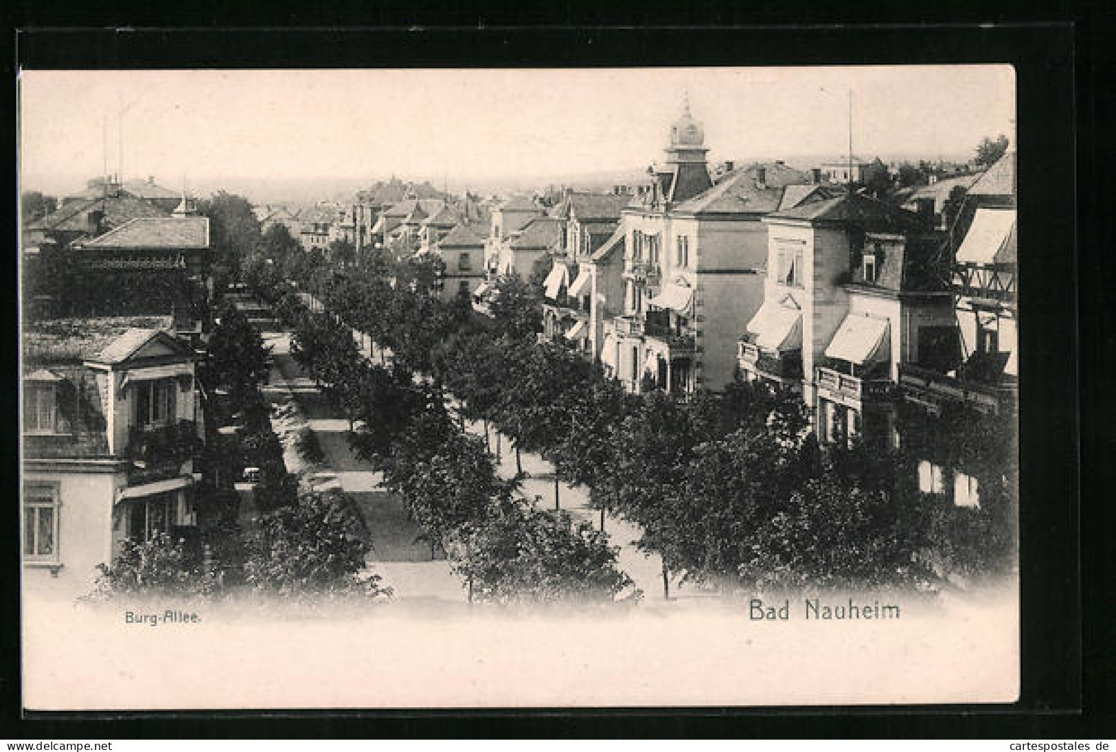 AK Bad Nauheim, Burg-Allee Mit Strassenbäumen Und Villen  - Bad Nauheim