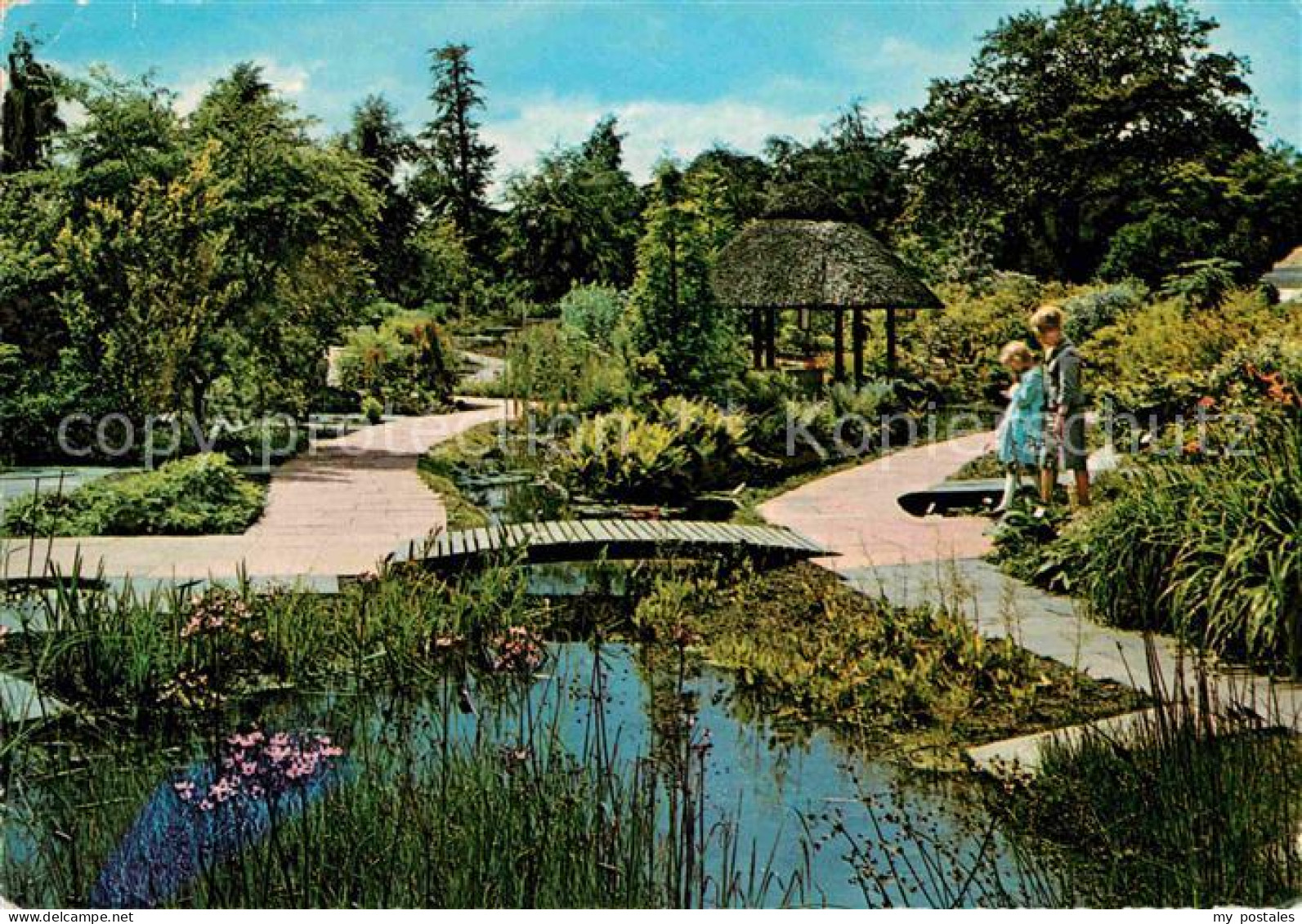 72662293 Hamburg Botanischer Garten Hamburg - Andere & Zonder Classificatie