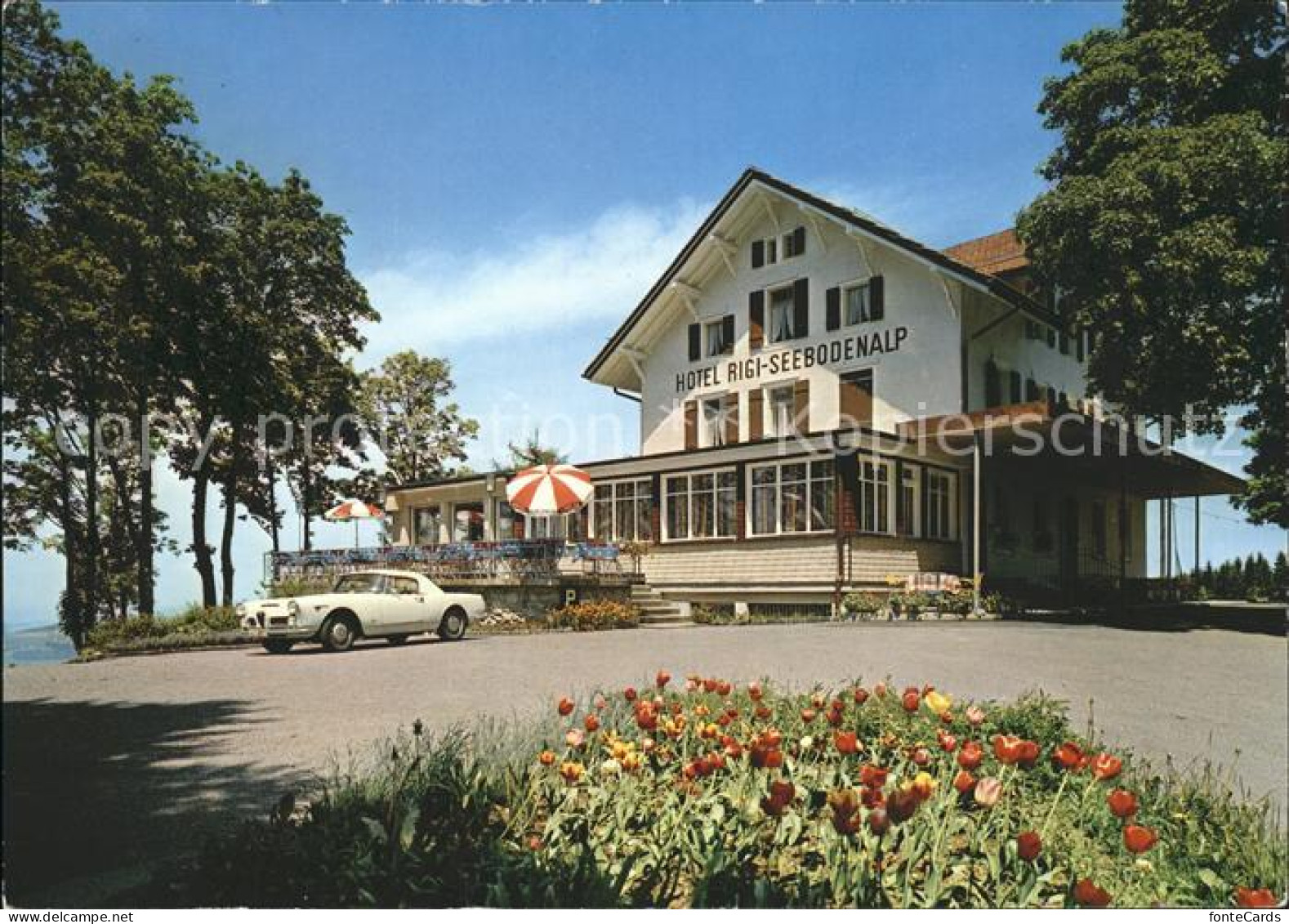 11851759 Kuessnacht Hotel Rigi-Seebodenalp Kuessnacht Am Rigi - Sonstige & Ohne Zuordnung