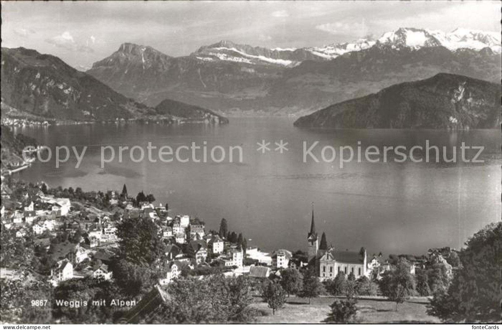 11735989 Weggis Vierwaldstaettersee Mit Alpen Panorama Weggis - Autres & Non Classés