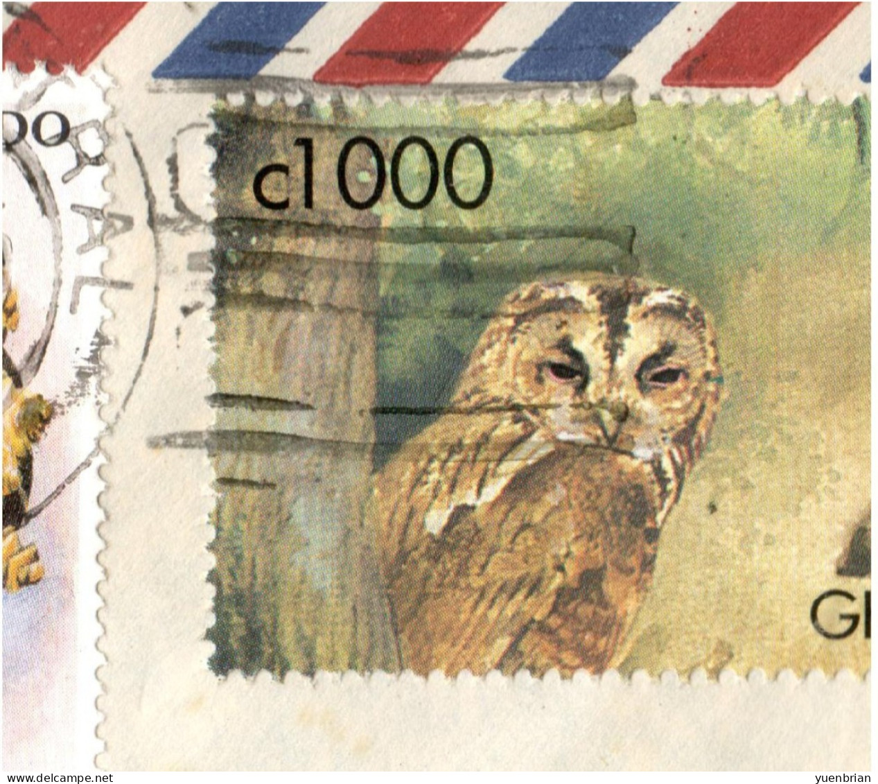 Ghana, Bird, Birds, Owl, Circulated Cover To Germany - Owls