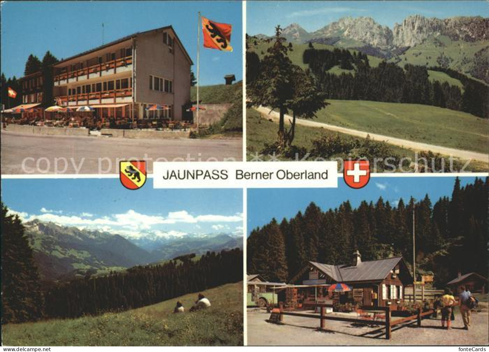 11715839 Jaunpass Hotel Des Alpes Panorama Gastlosen Sportbazar Jaunpass - Sonstige & Ohne Zuordnung