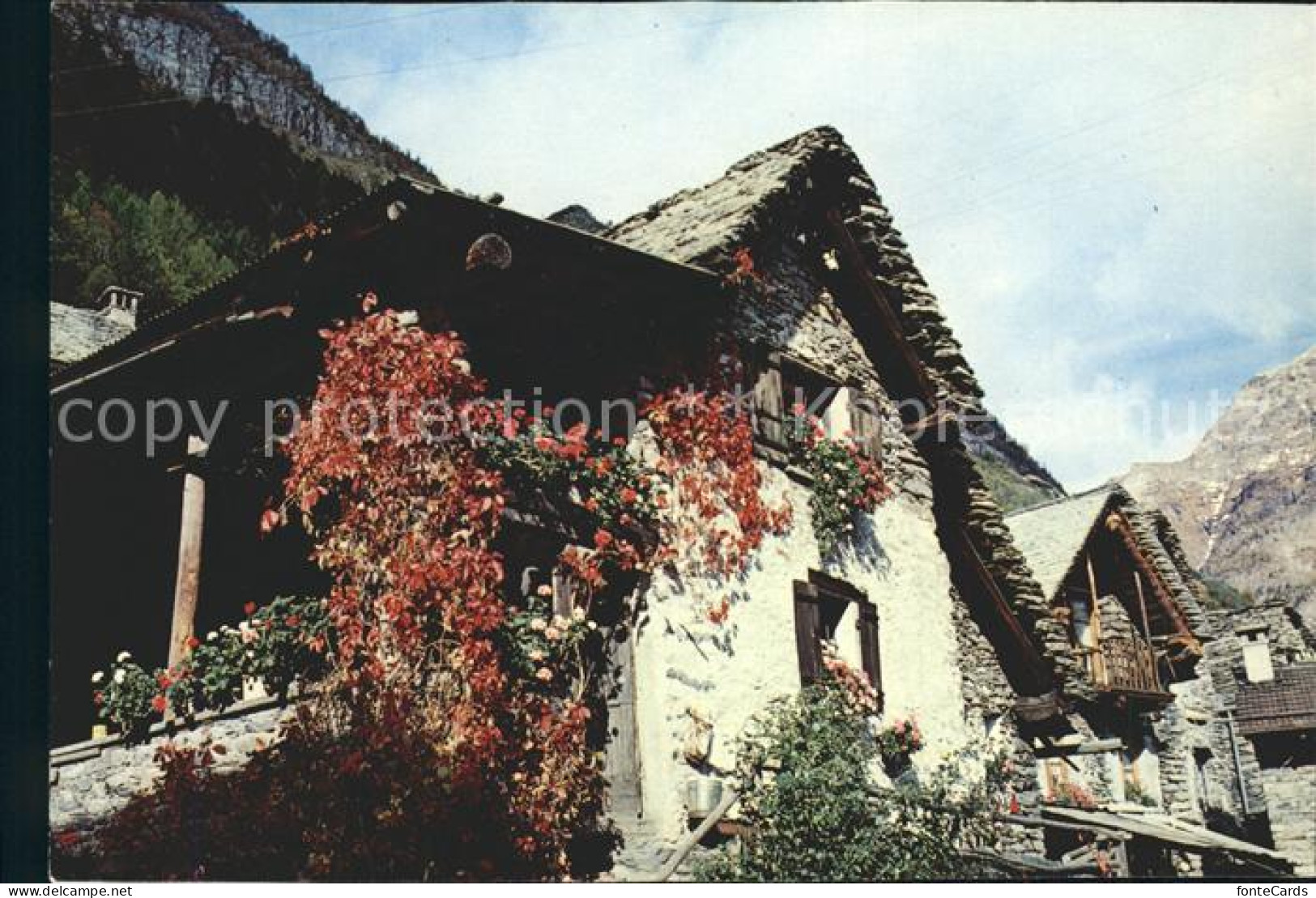 11715587 Sonogno Motivo Rustico Valle Verzasca Sonogno - Sonstige & Ohne Zuordnung