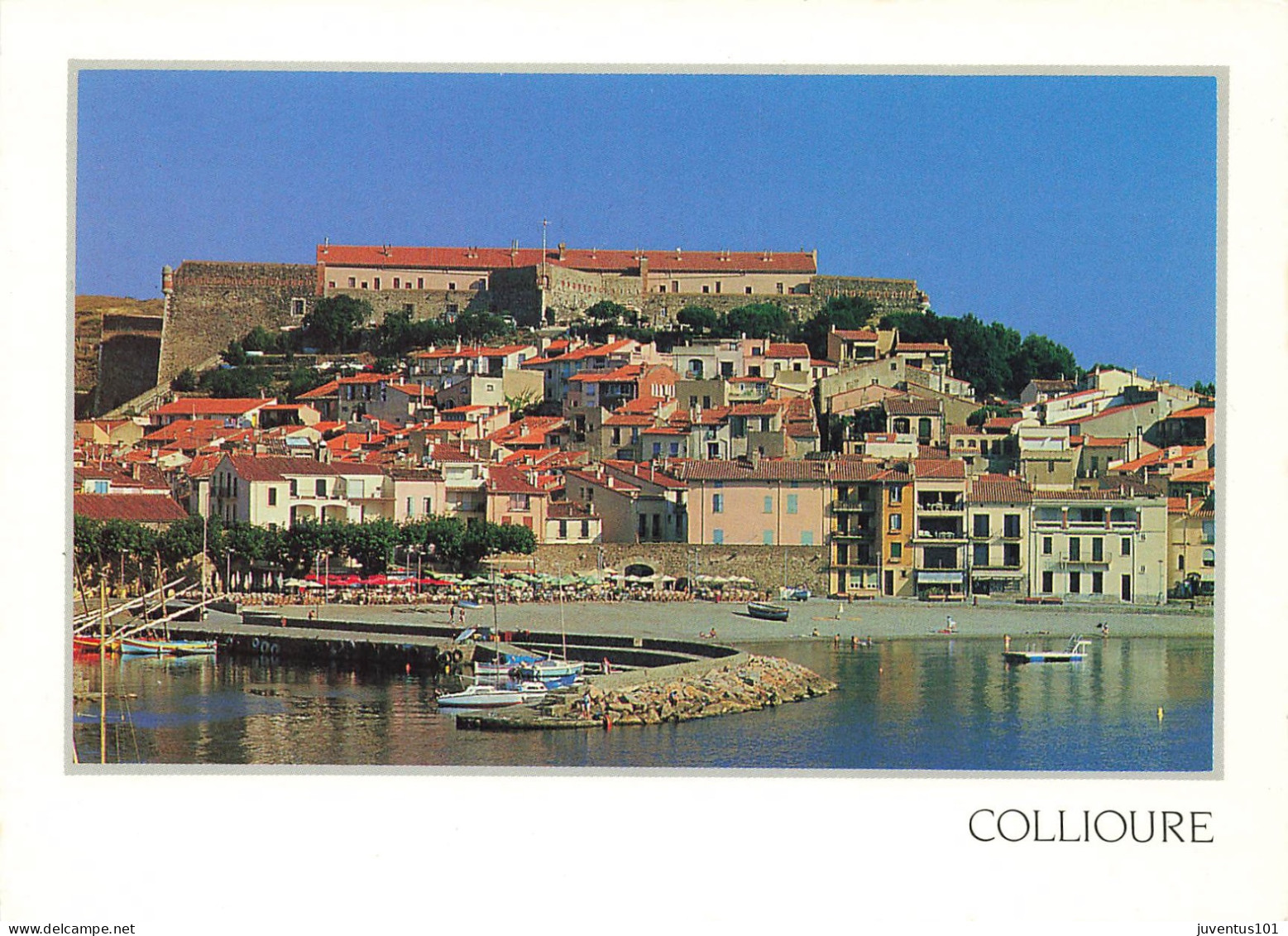 CPSM Collioure     L2922 - Collioure