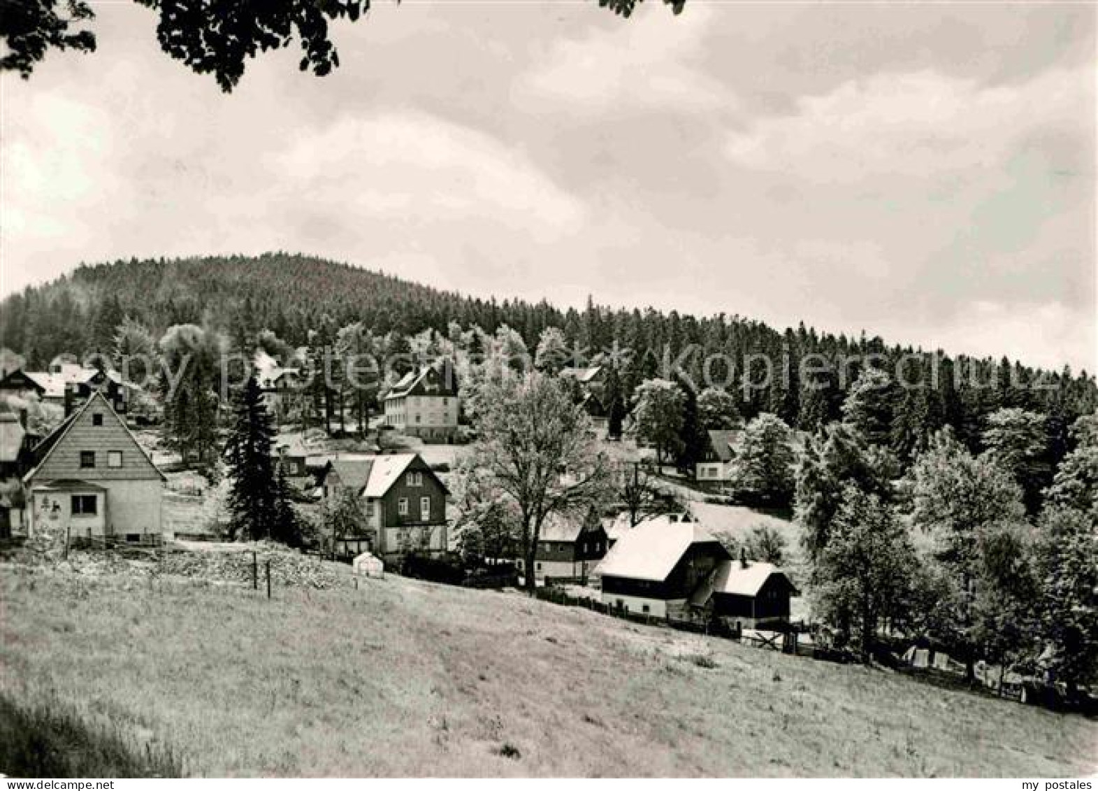 72651710 Baerenfels Erzgebirge  Altenberg - Altenberg