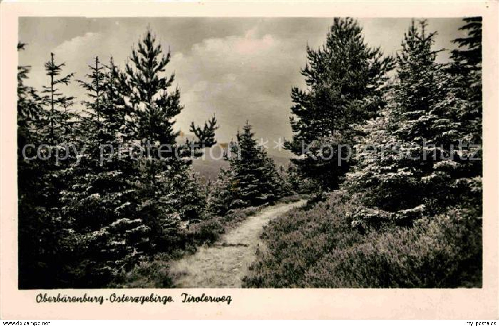 72647273 Oberbaerenburg Tirolerweg  Altenberg - Altenberg