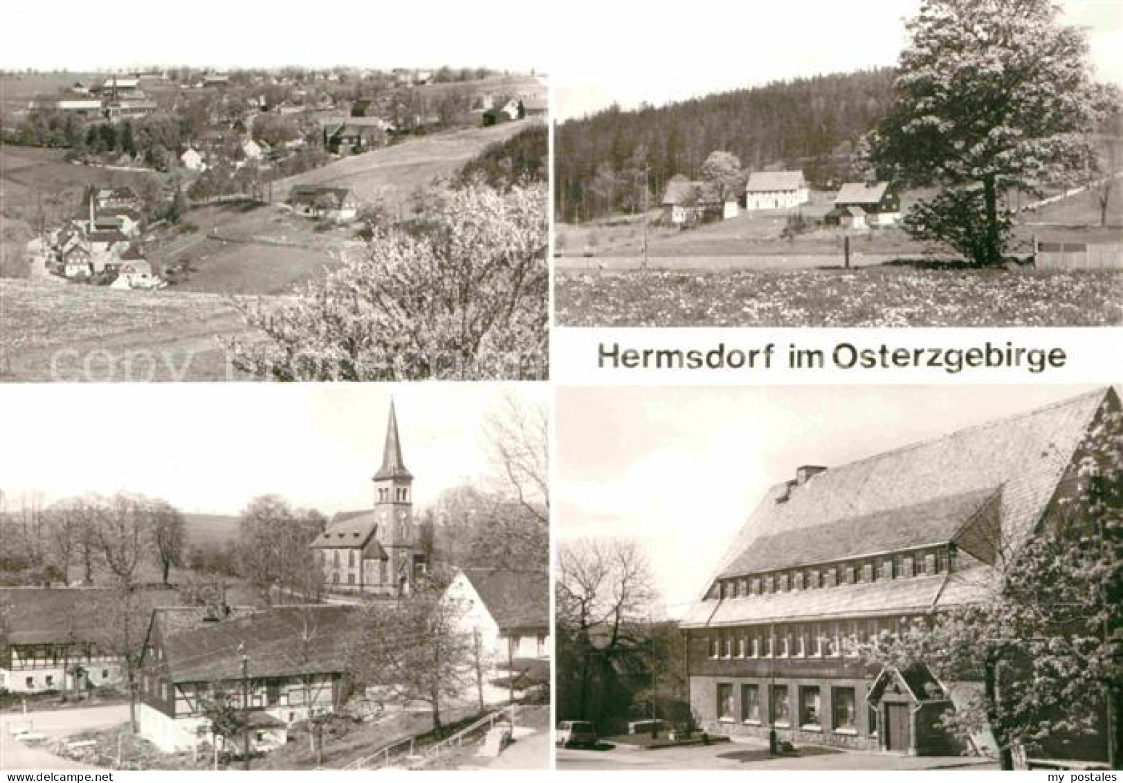 72643922 Hermsdorf Erzgebirge Teilansichten Kirche Hermsdorf Osterzgebirge - Other & Unclassified