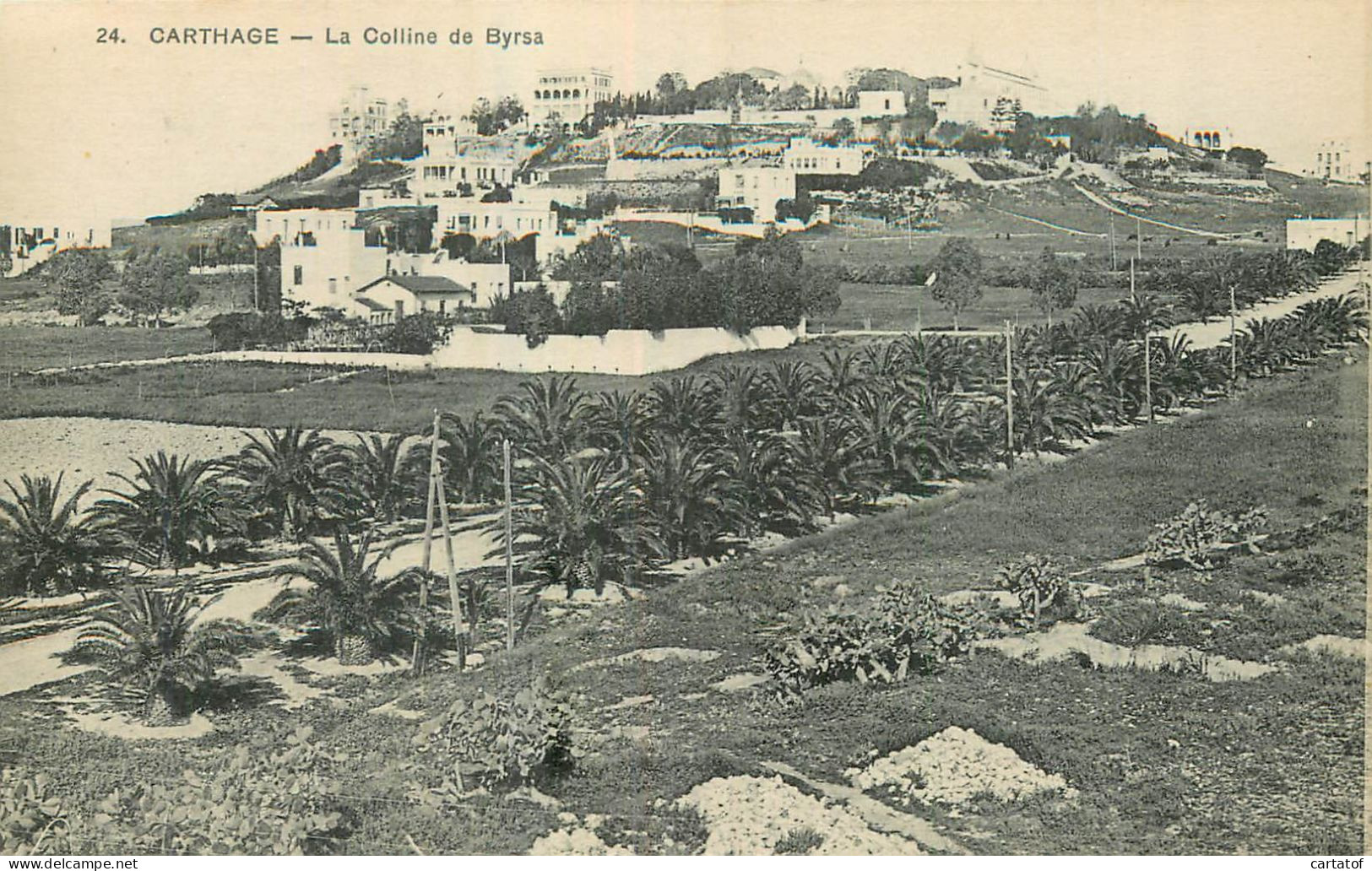 CARTHAGE . La Colline De Byrsa - Tunisie