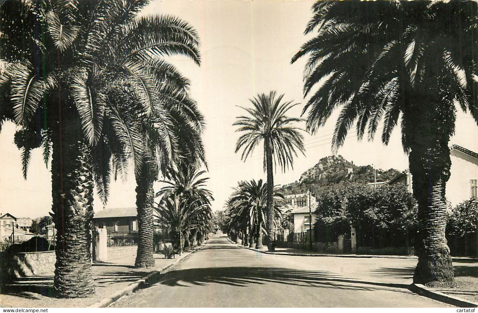 HYERES LES PALMIERS . Boulevard Alexis Godillot - Hyeres