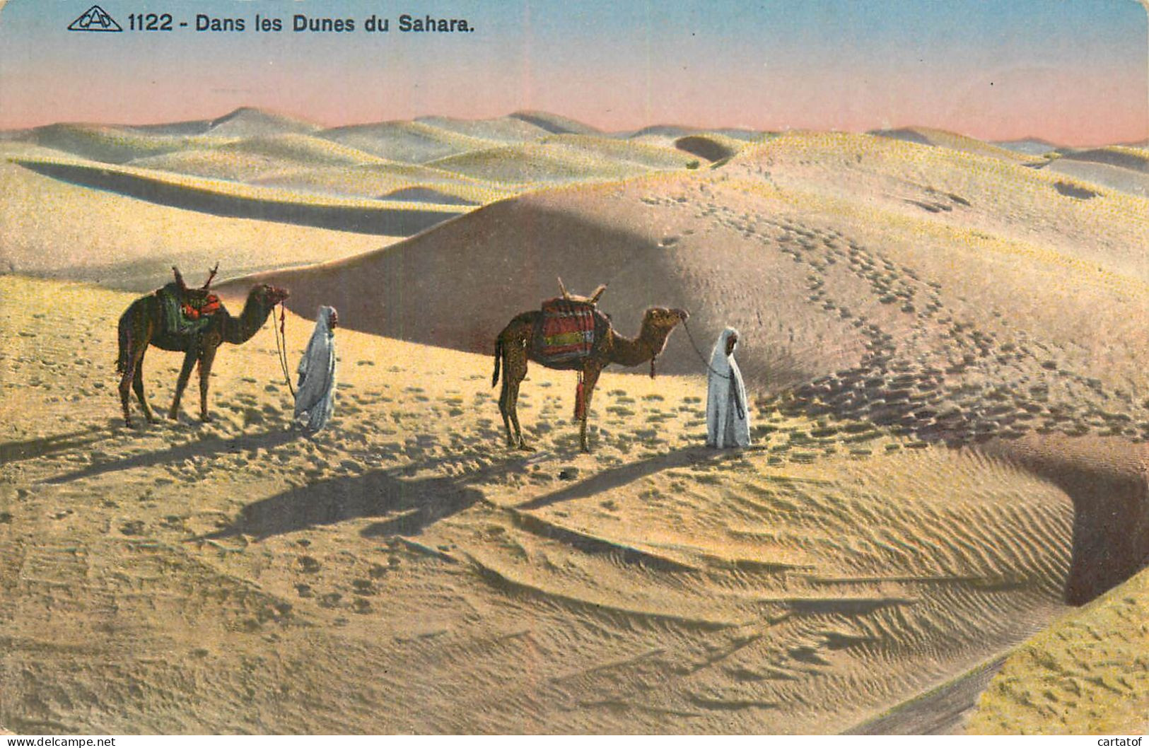 Dans Les Dunes Du Sahara - Other & Unclassified