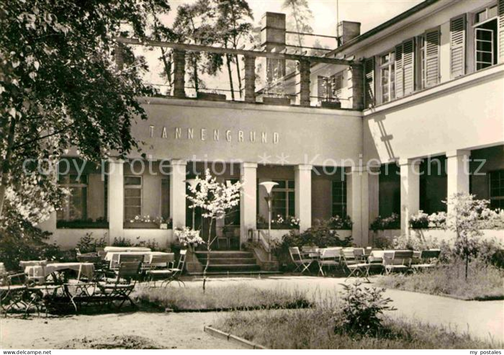 72643537 Moeser HO Waldhotel Tannengrund Moeser - Autres & Non Classés