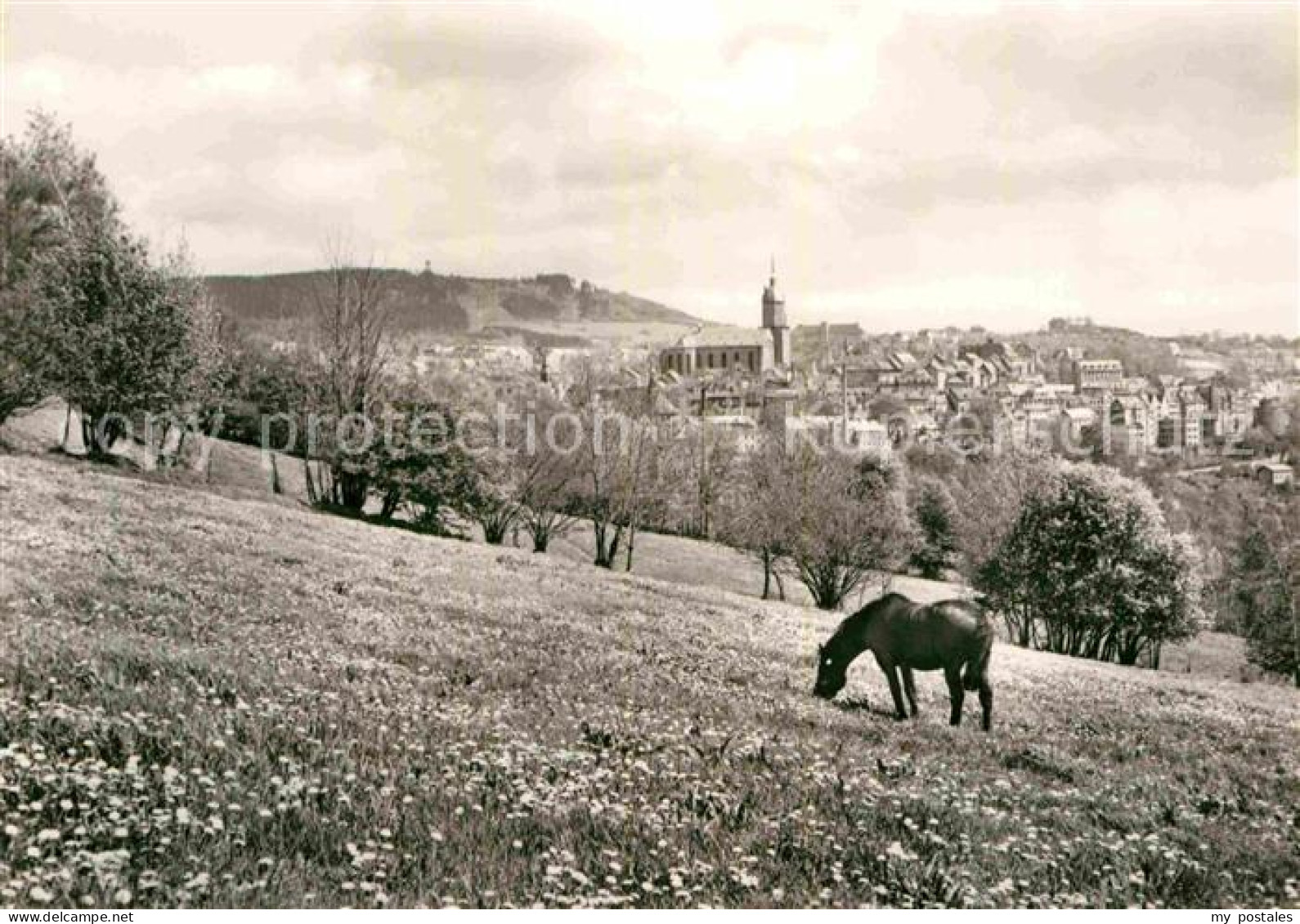 72641828 Annaberg-Buchholz Erzgebirge Poehlberg Annaberg - Annaberg-Buchholz