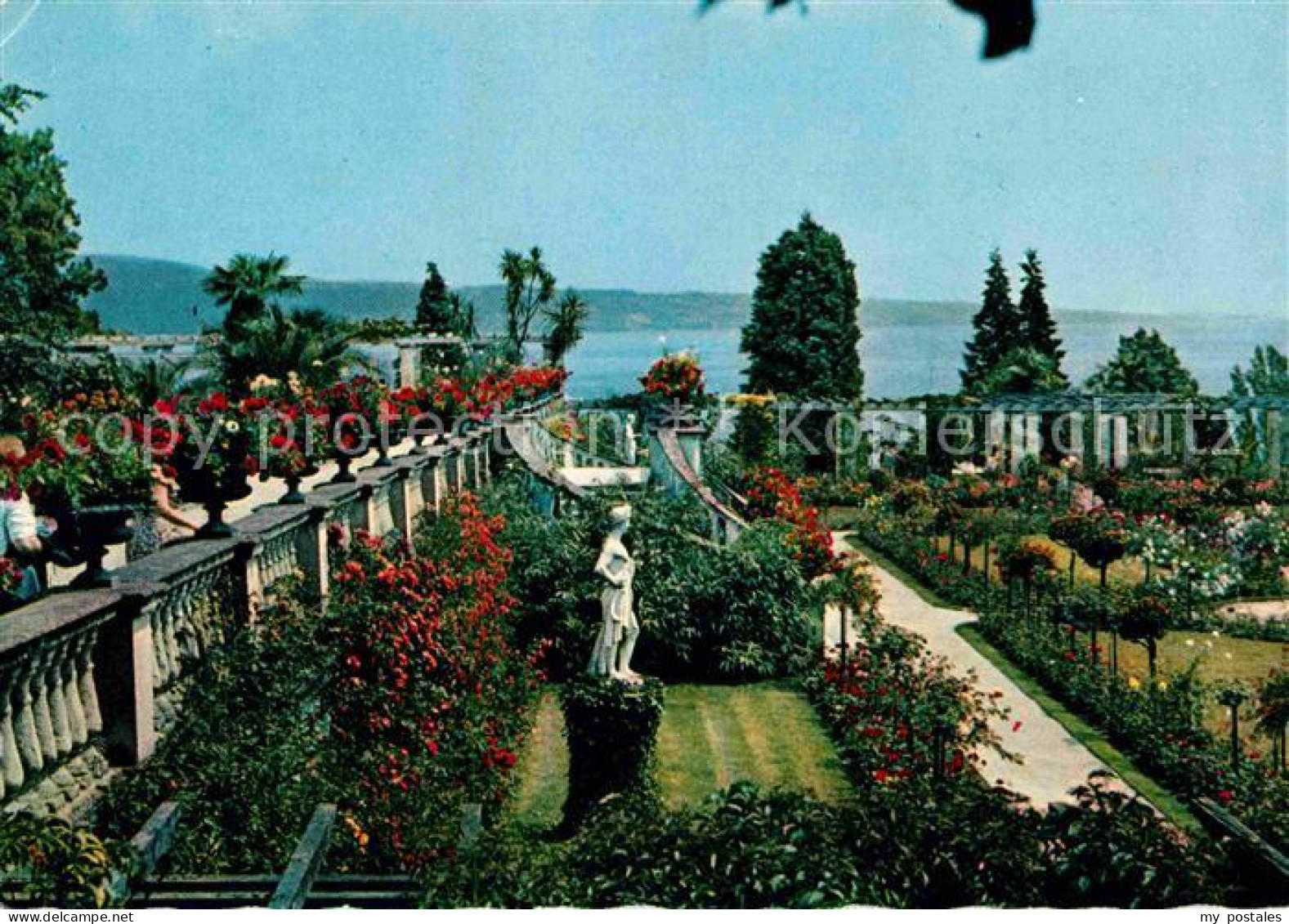 72641419 Insel Mainau Rosengarten Statue Seeblick Konstanz Bodensee - Konstanz