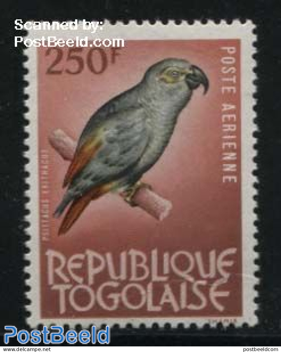 Togo 1964 250F, Stamp Out Of Set, Mint NH, Nature - Birds - Parrots - Togo (1960-...)