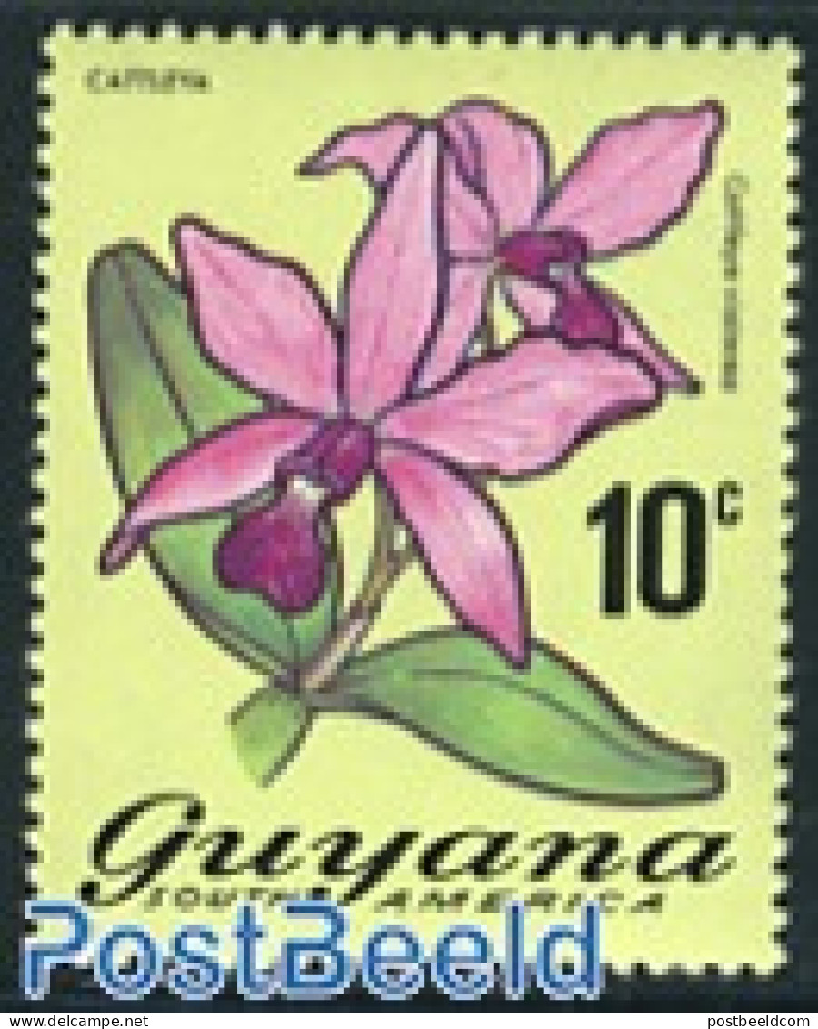 Guyana 1971 10c, Stamp Out Of Set, Mint NH, Nature - Flowers & Plants - Guiana (1966-...)